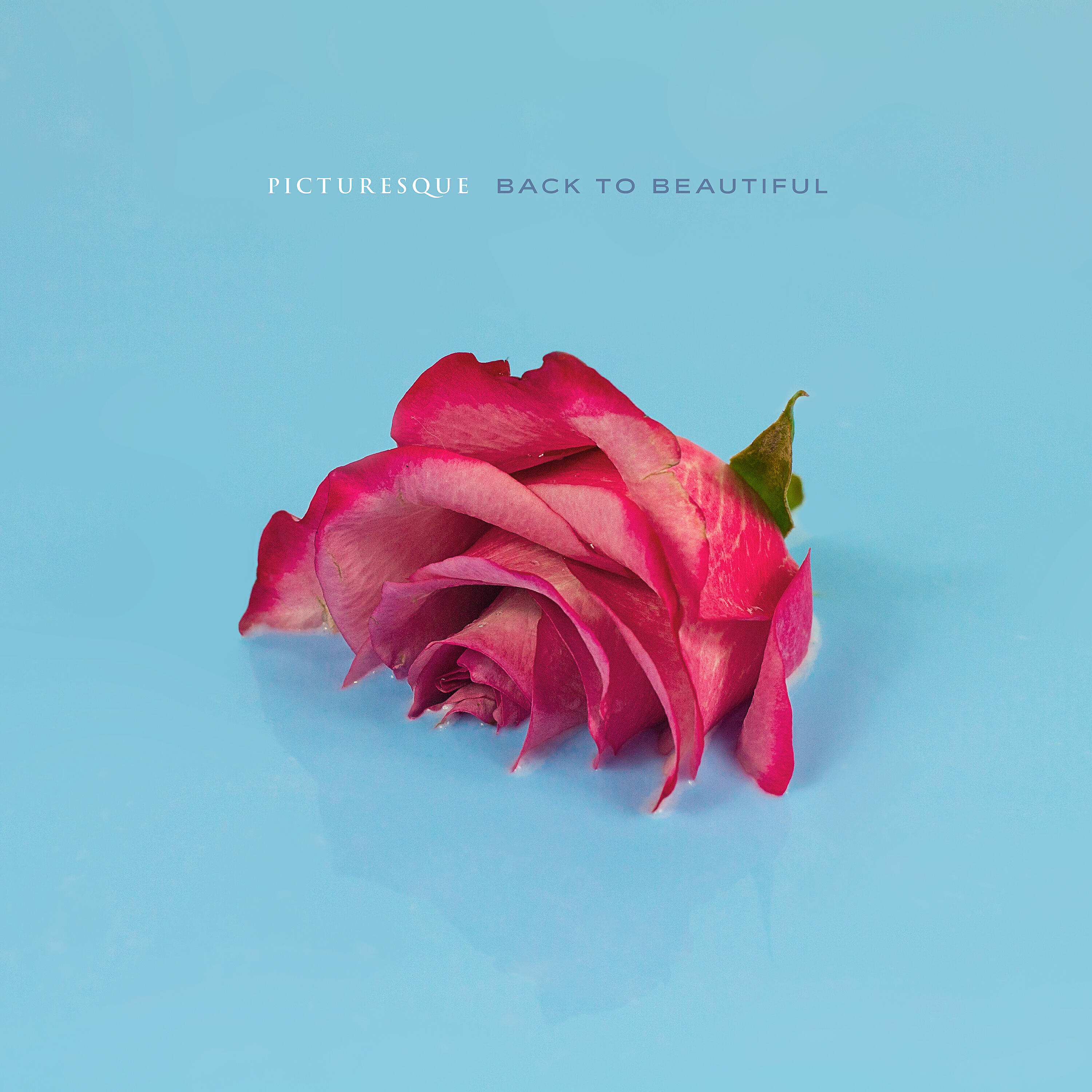 Релиз Back to Beautiful