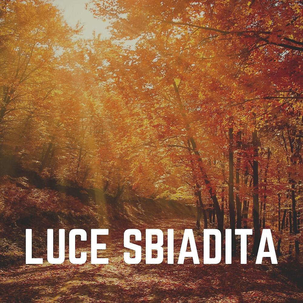 Релиз Luce Sbiadita