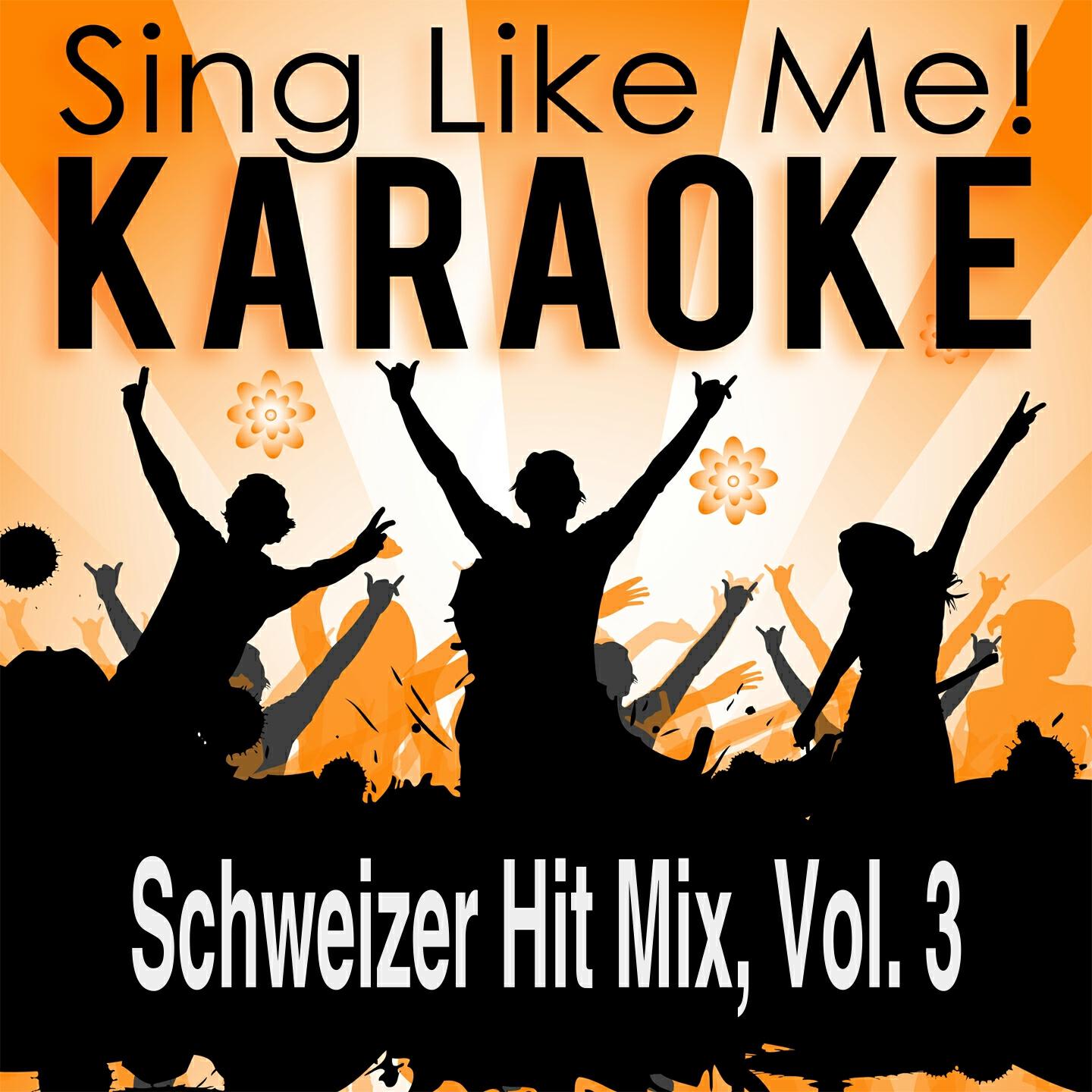 Релиз Schweizer Hit Mix, Vol. 3 (Karaoke Version)
