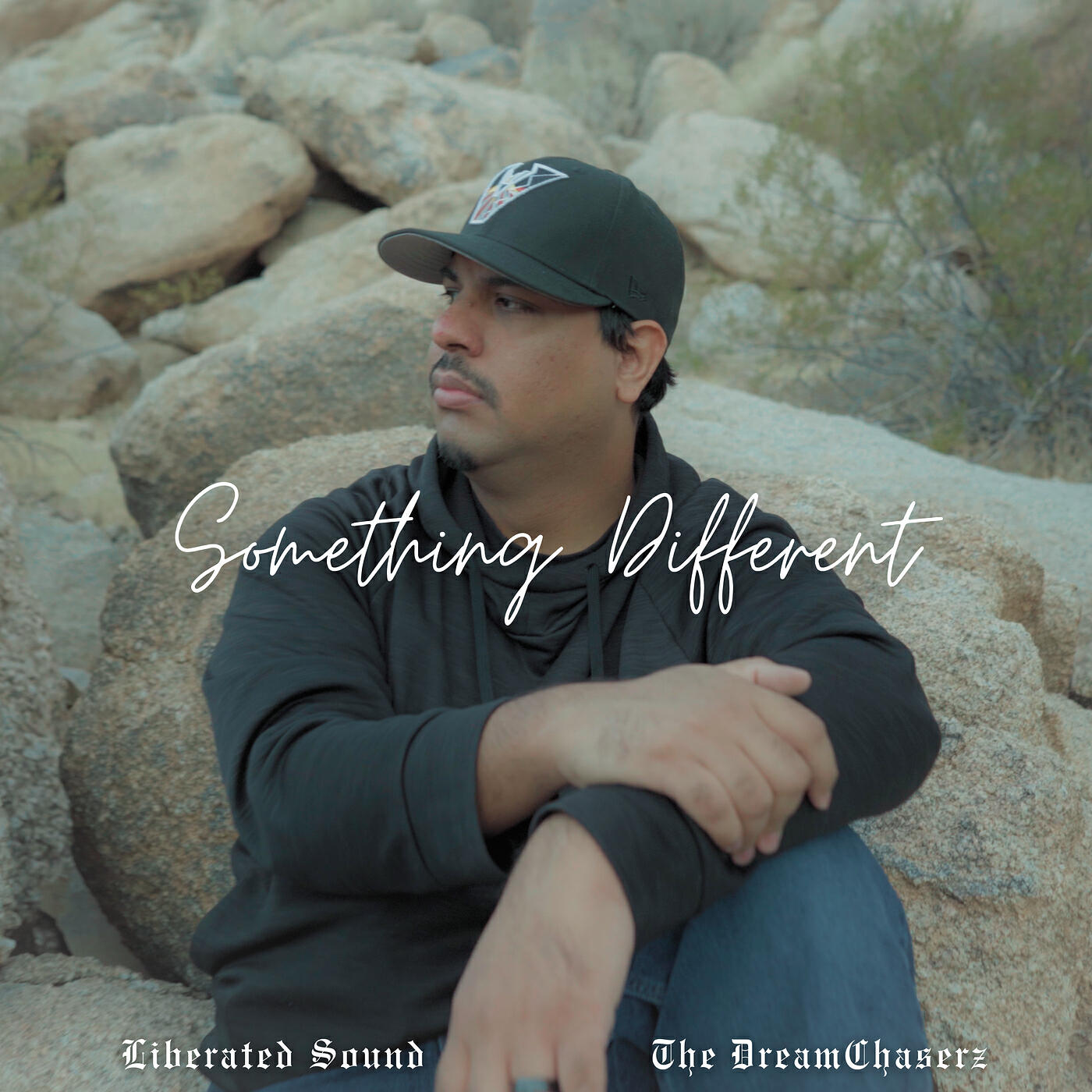 Релиз Something Different