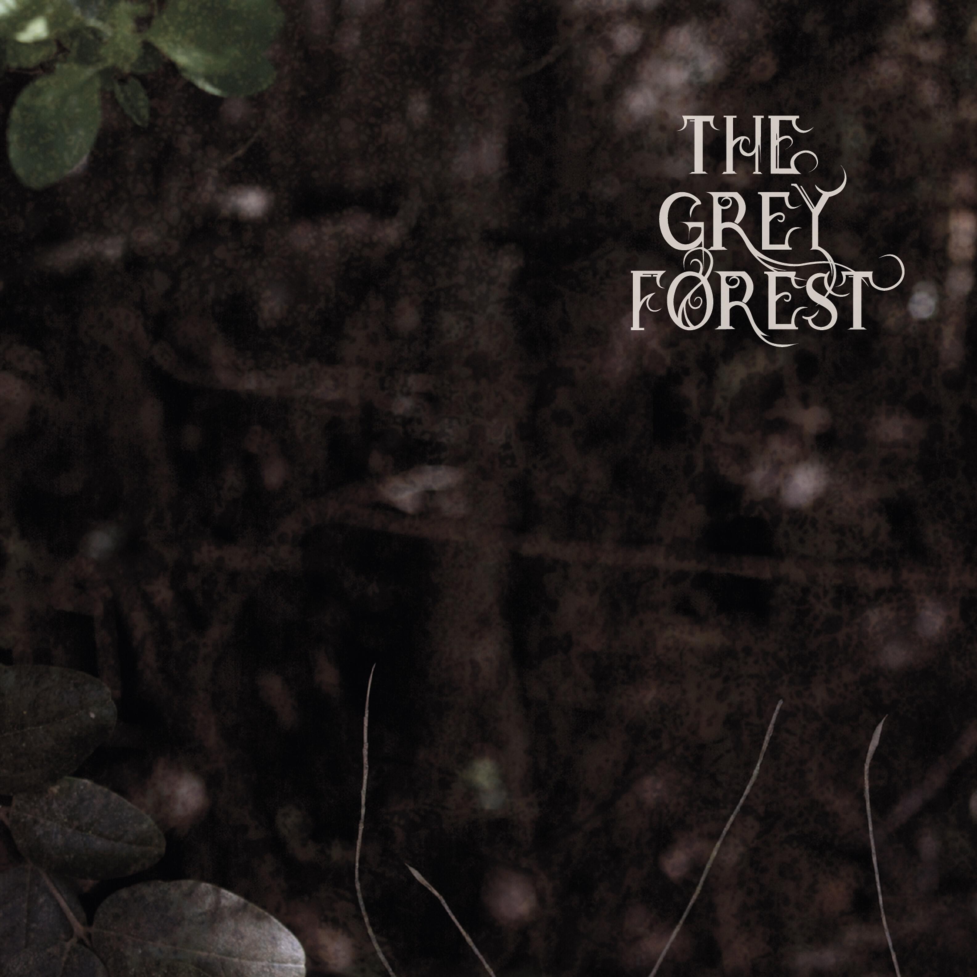 Релиз The Grey Forest