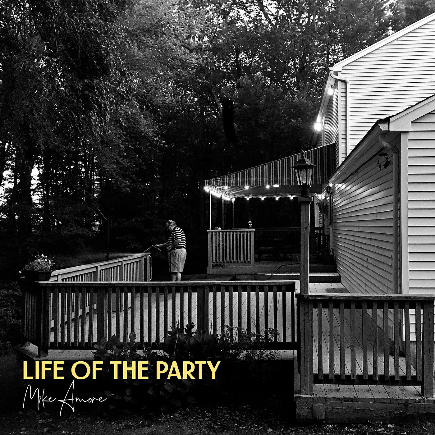 Релиз Life of the Party