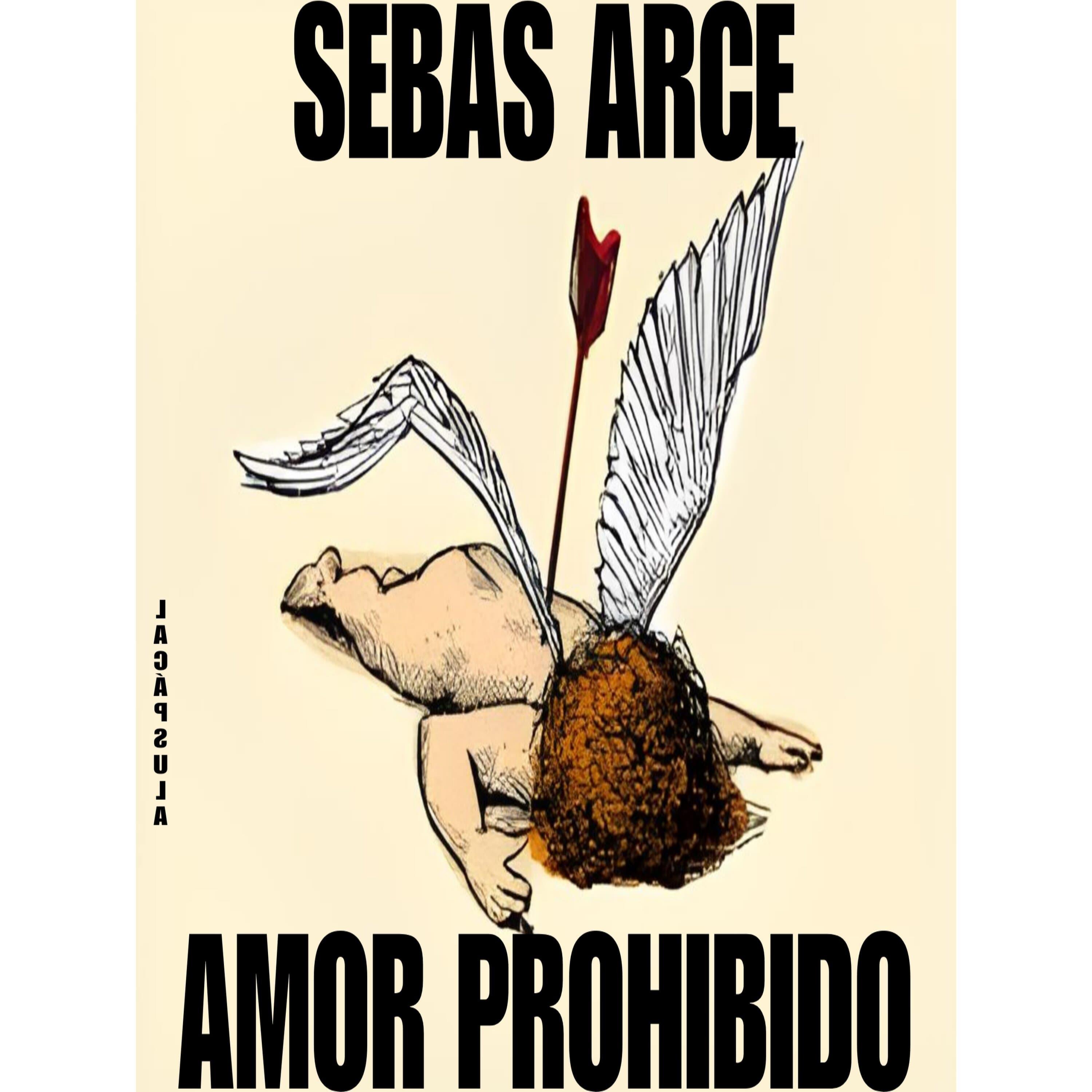 Релиз Amor Prohibido