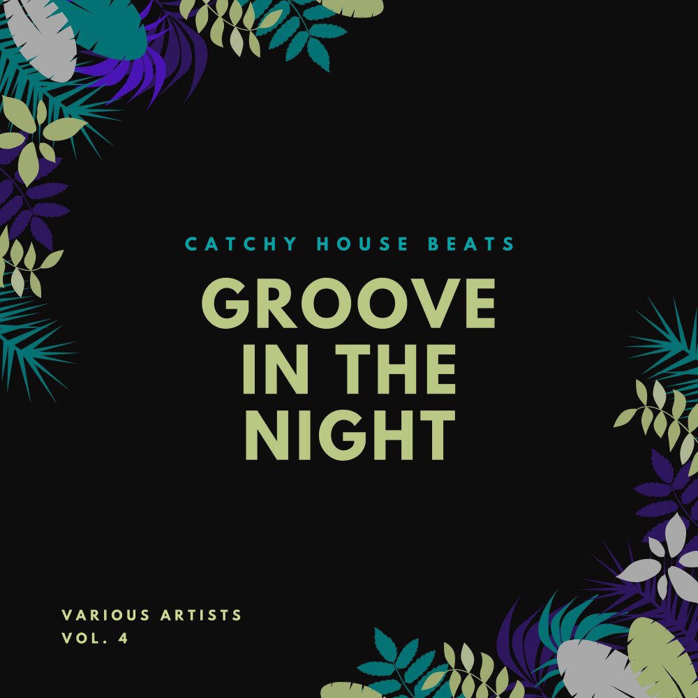 Релиз Groove In The Night (Catchy House Beats), Vol. 4