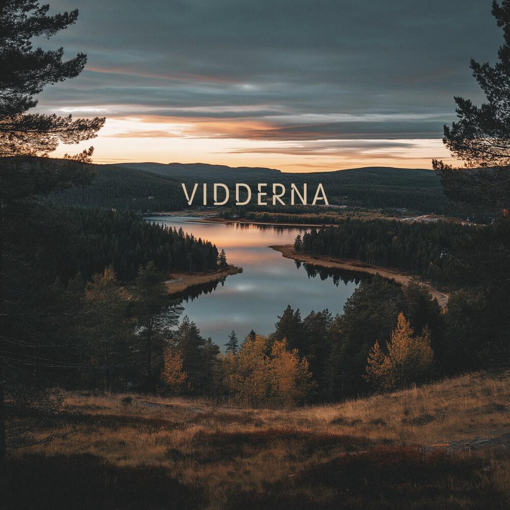 Релиз Vidderna