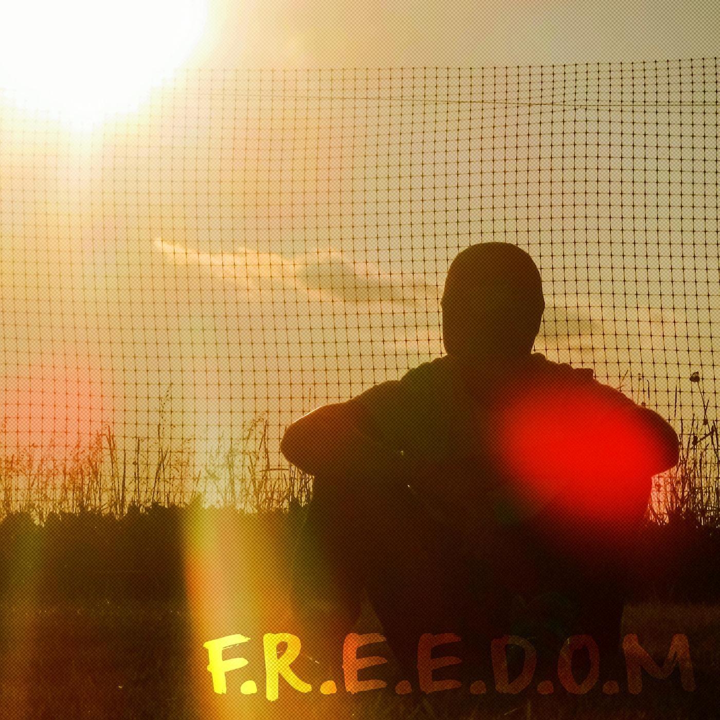Релиз F.R.E.E.D.O.M