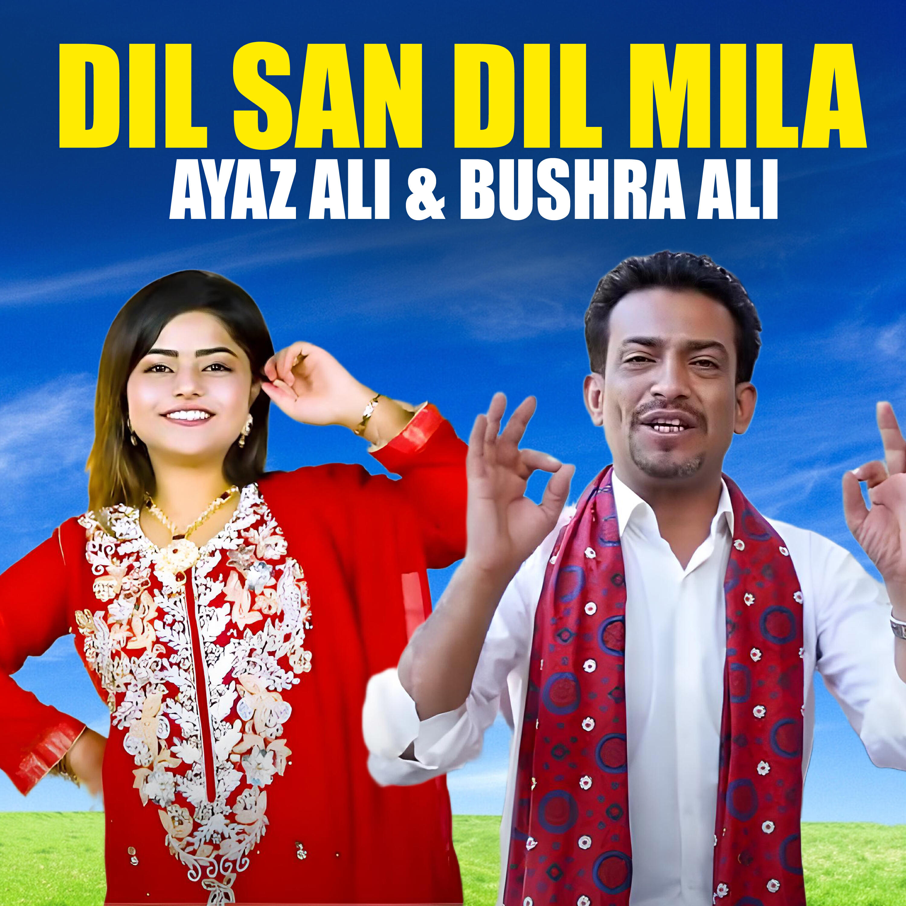 Релиз Dil San Dil Mila
