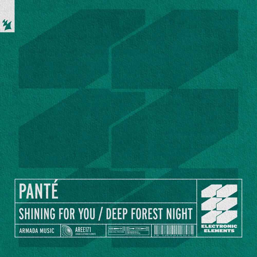 Релиз Shining for You / Deep Forest Night