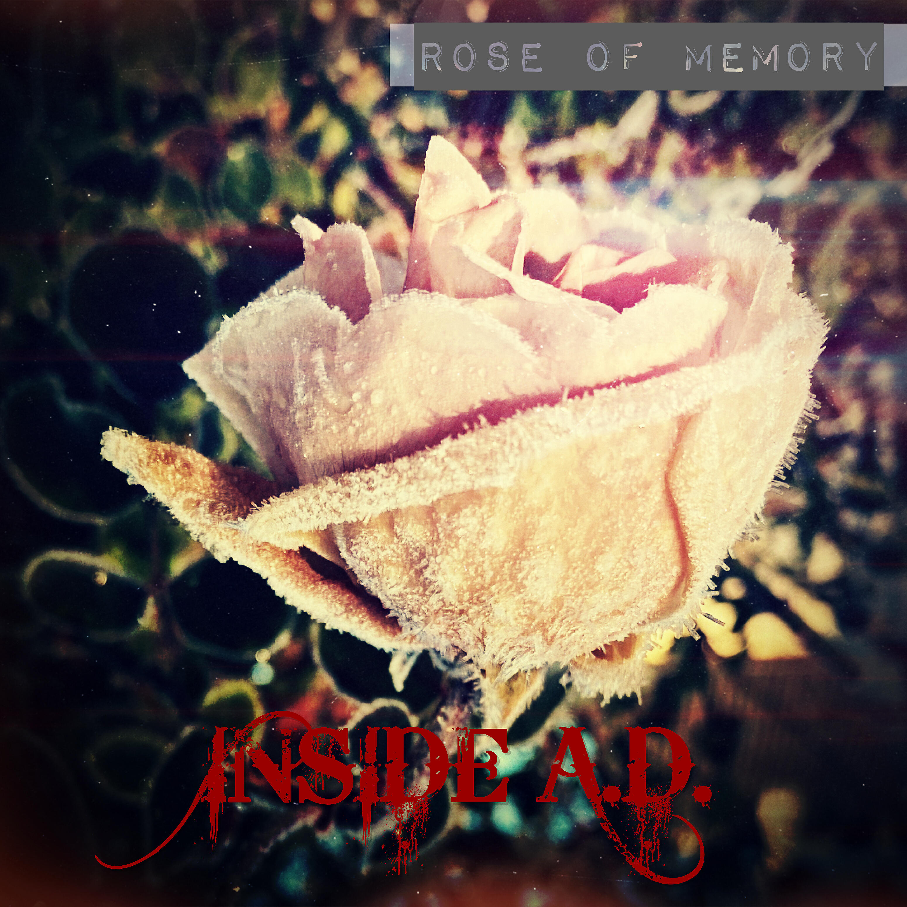 Релиз Rose of Memory