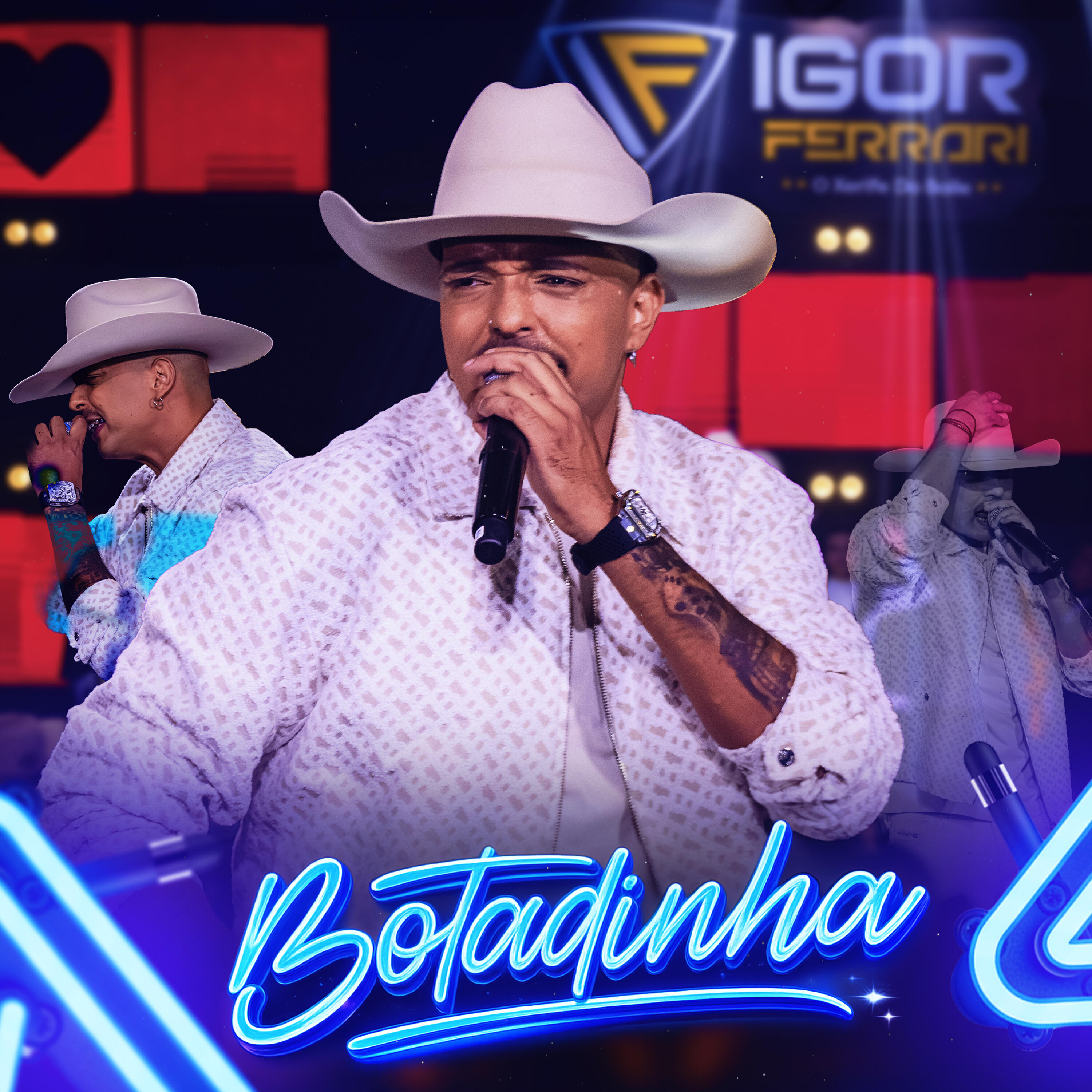 Релиз Botadinha em Goiania