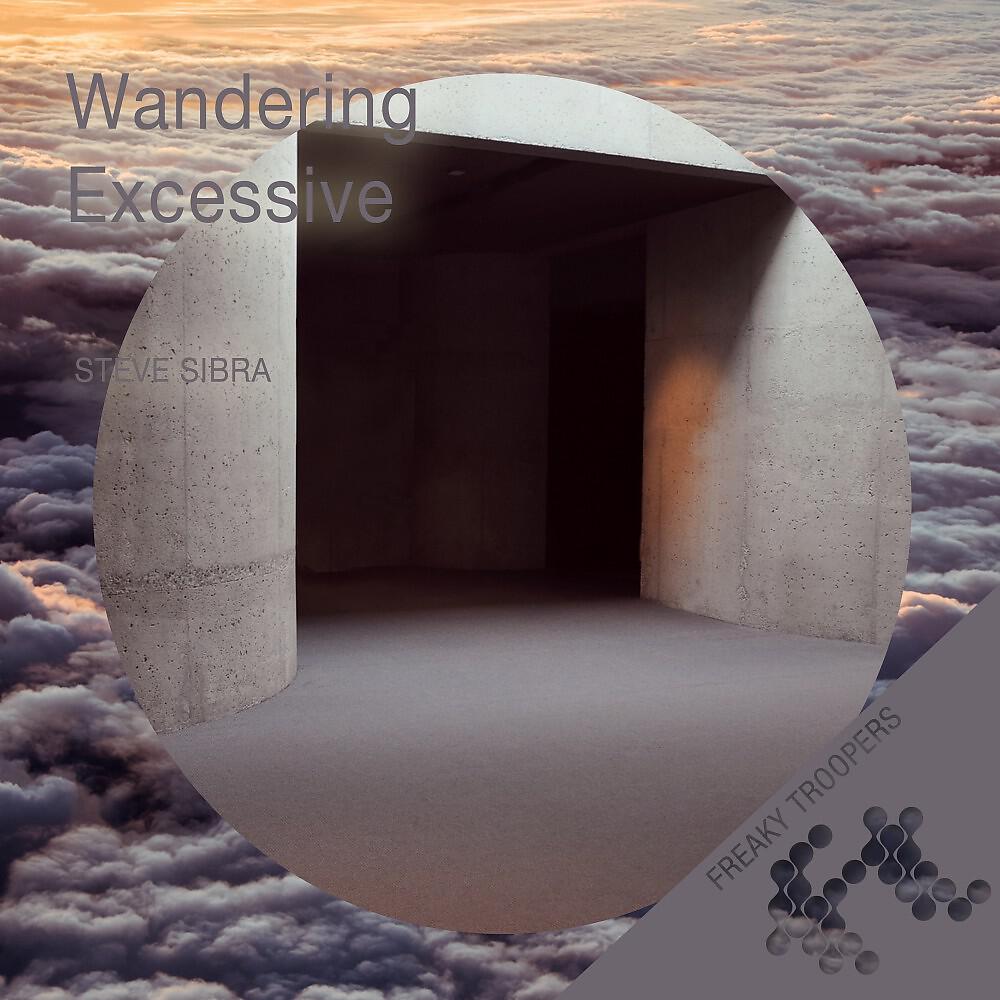 Релиз Wandering