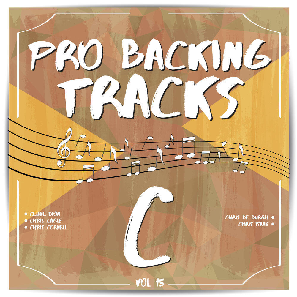 Релиз Pro Backing Tracks C, Vol. 15
