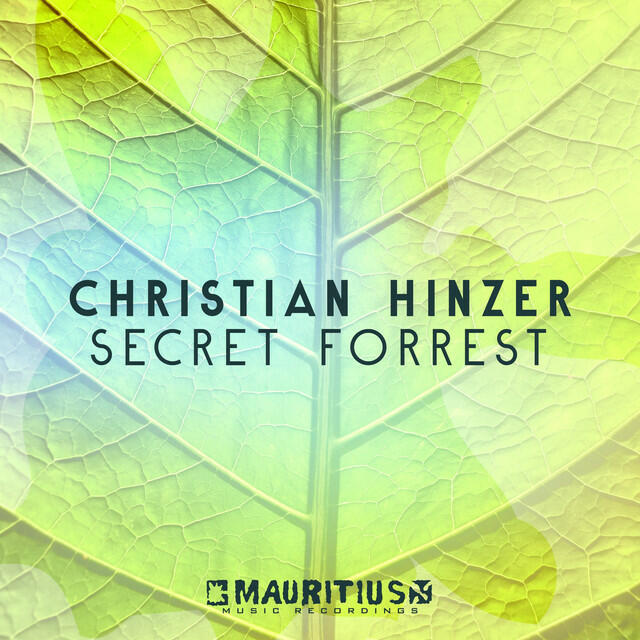 Релиз Secret Forrest
