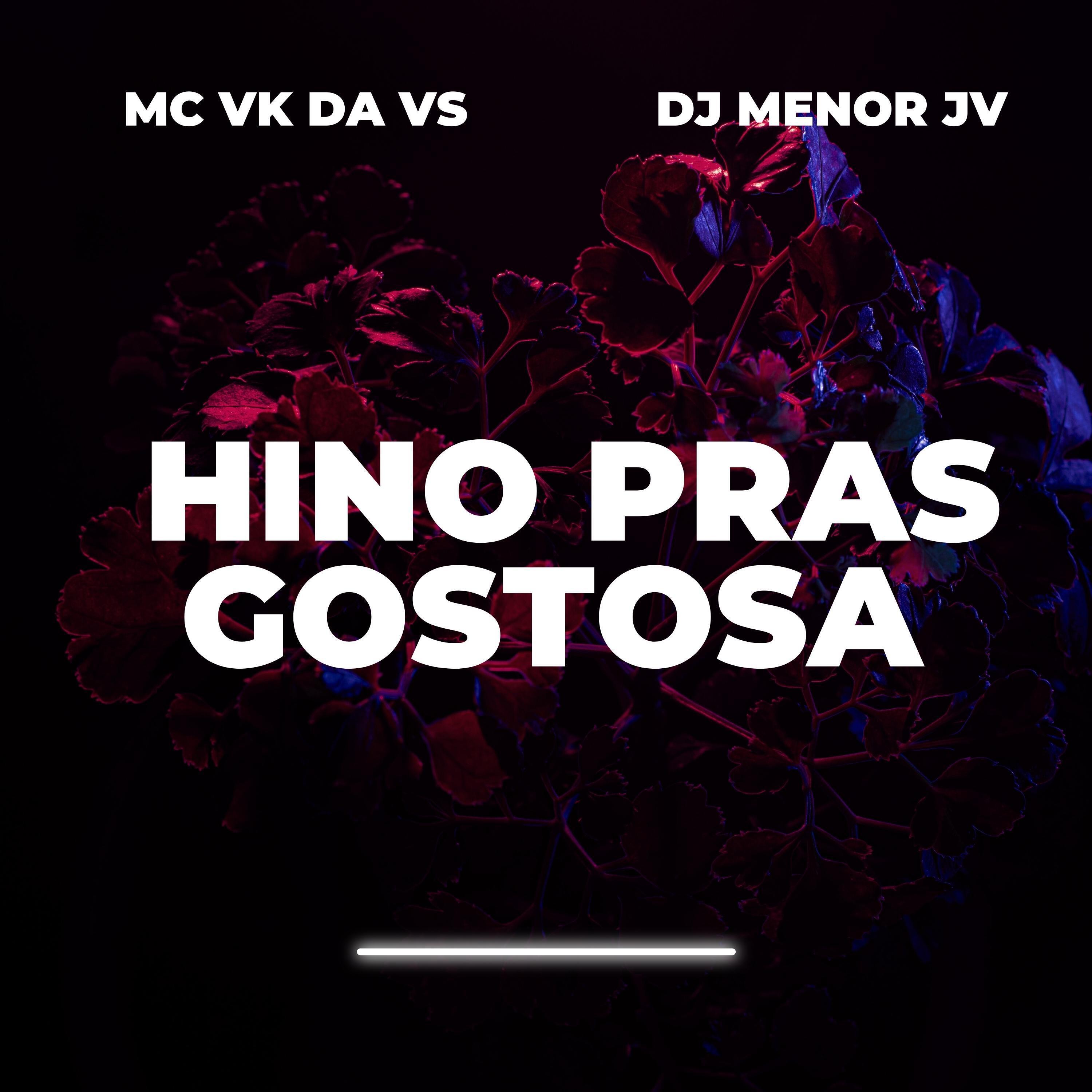 Скачать песню DJ MENOR JV, mc vk da vs - Hino Pras Gostosa бесплатно в MP3 для Android и iOS