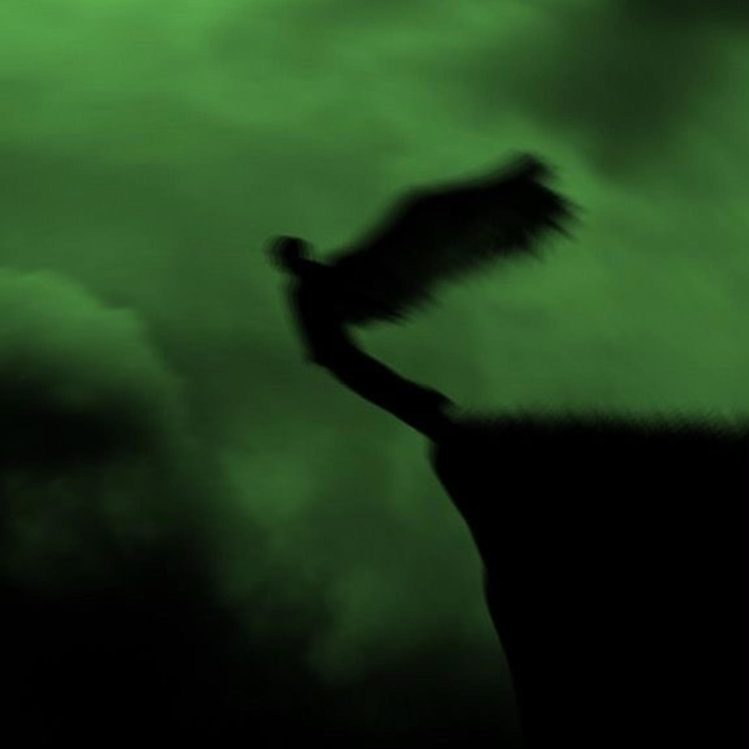 Релиз Angel