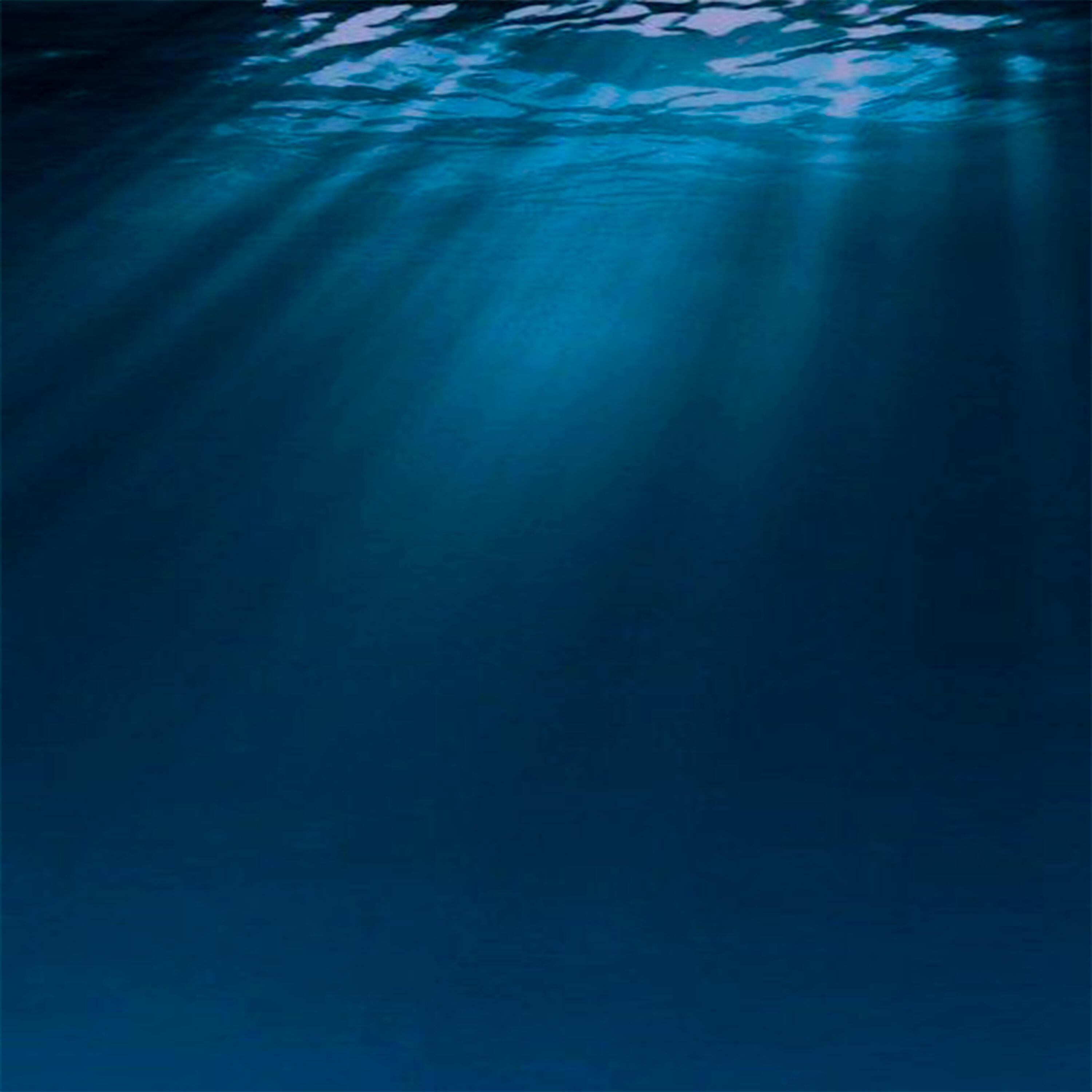 Релиз Deep