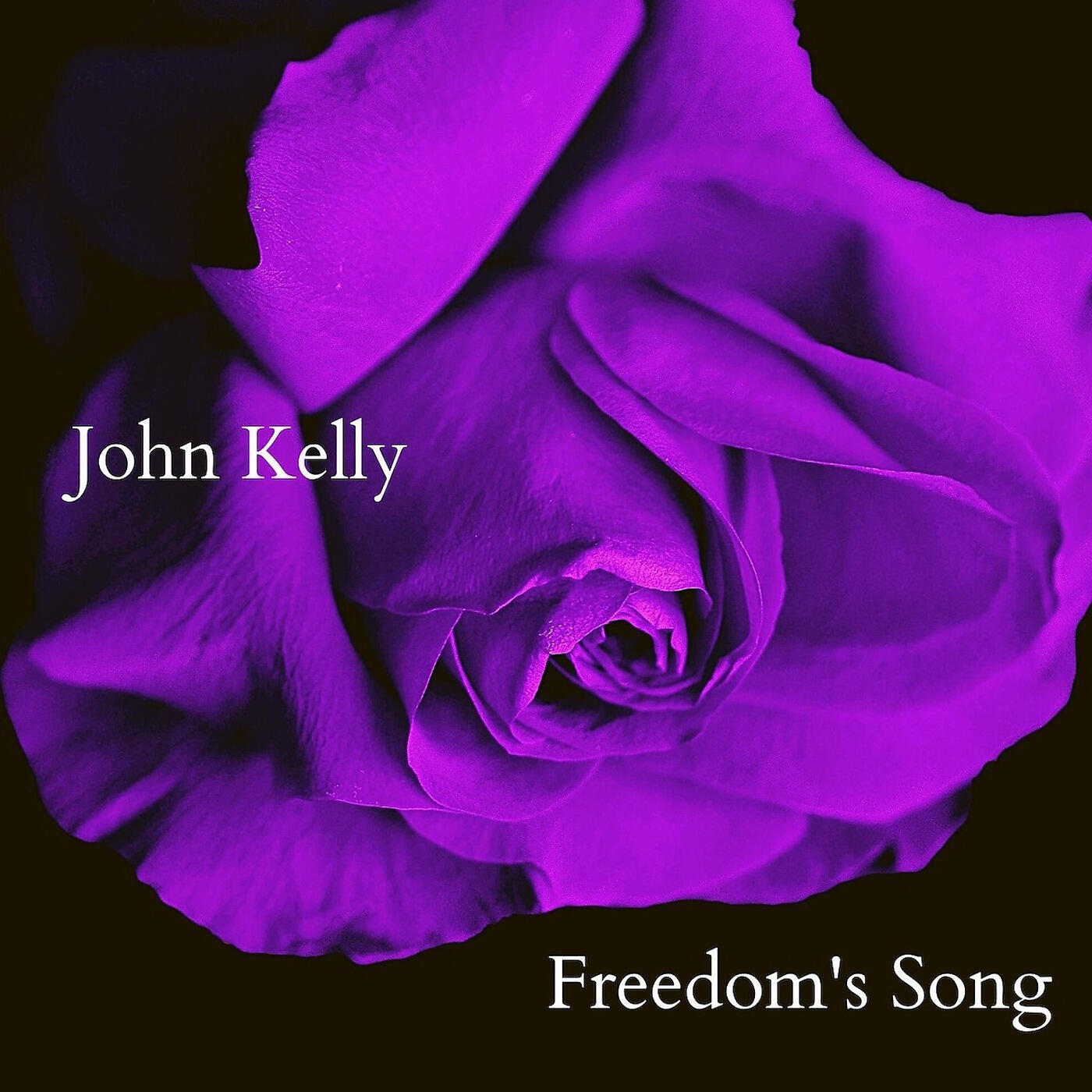 Релиз Freedom's Song