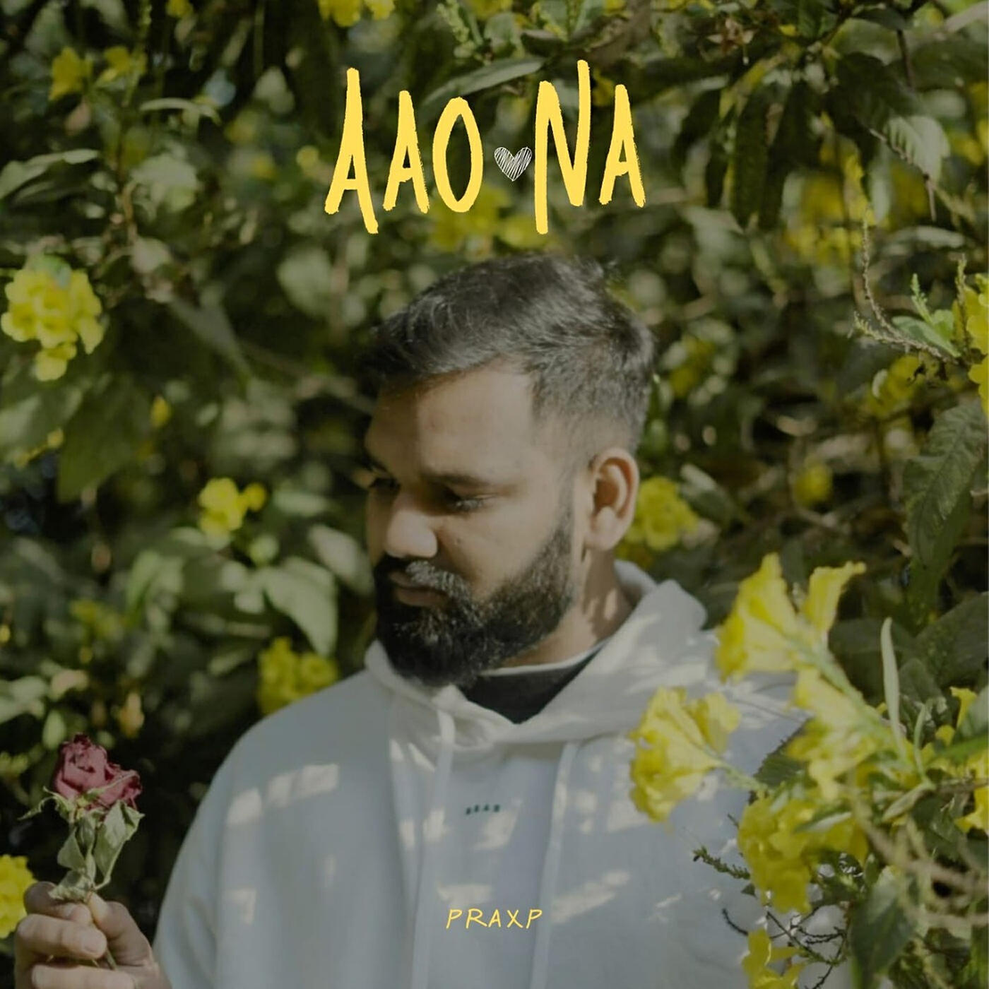 Релиз Aao Na