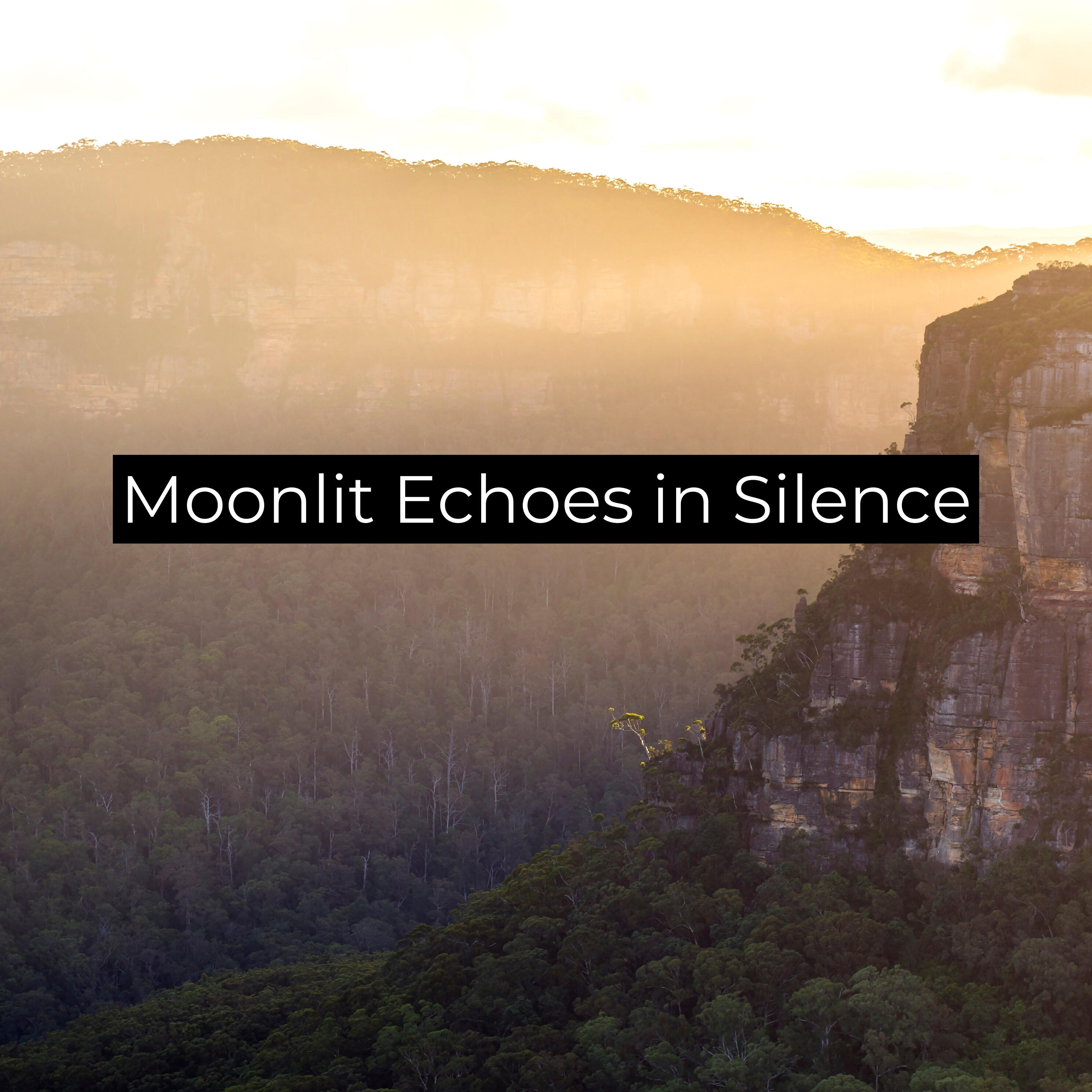 Релиз Moonlit Echoes in Silence