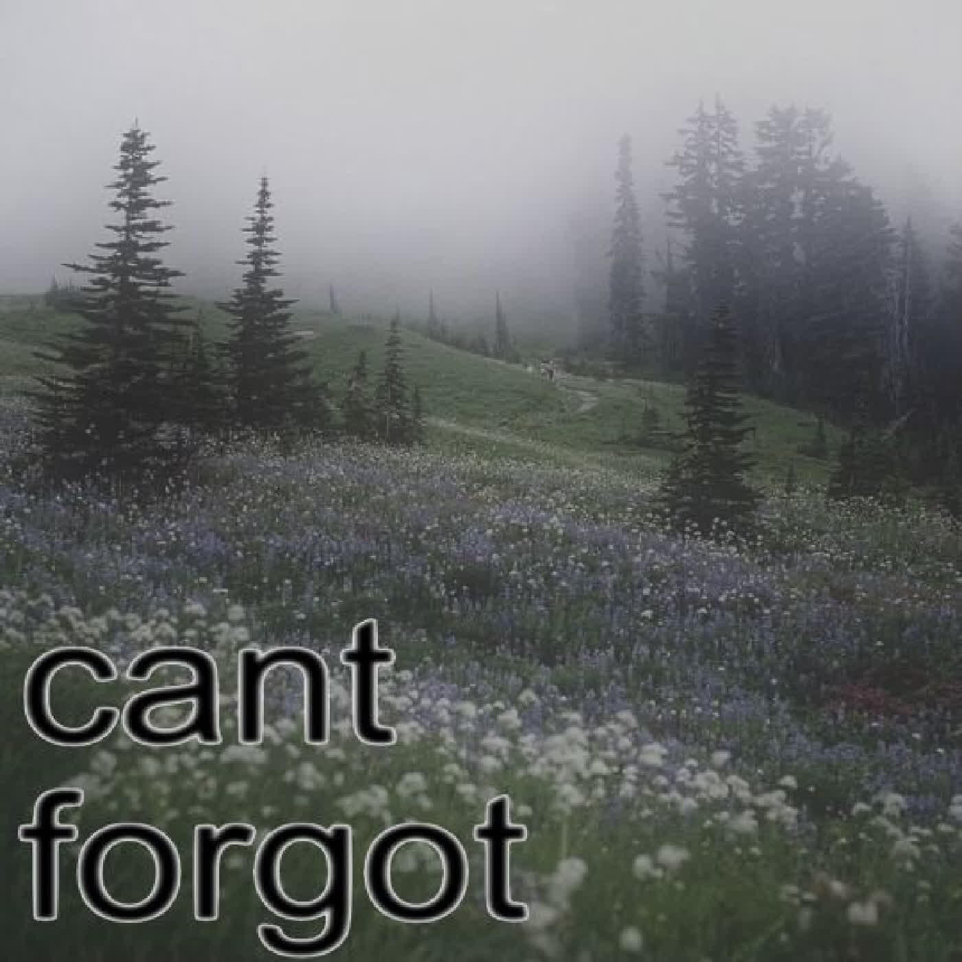 Релиз cant forgot
