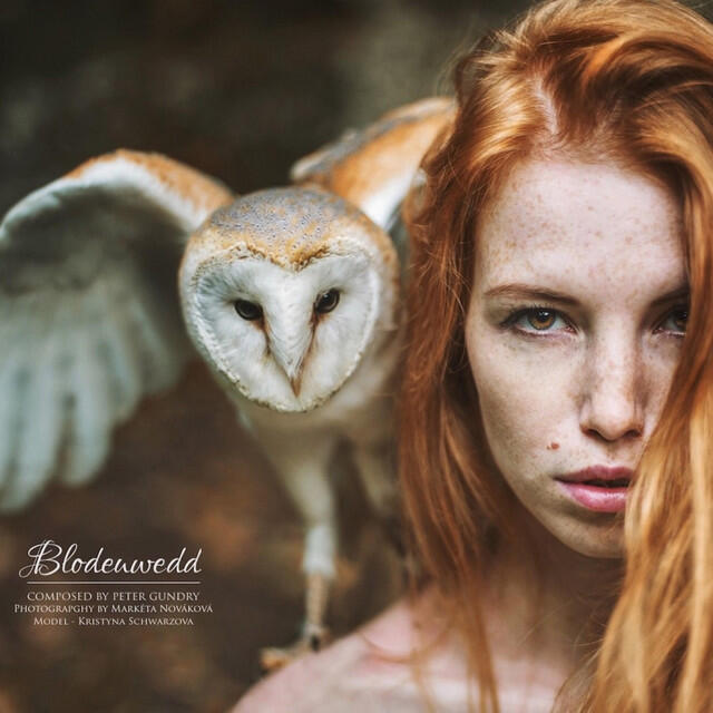 Релиз Blodewedd