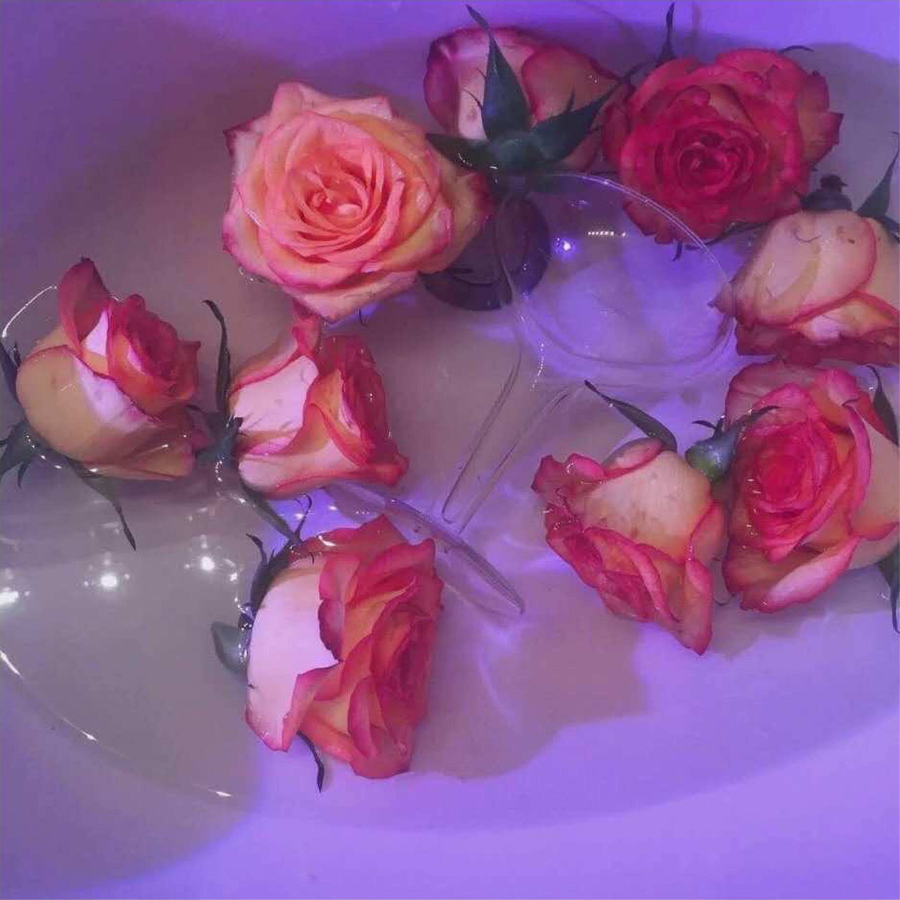 Релиз 浪漫前夜