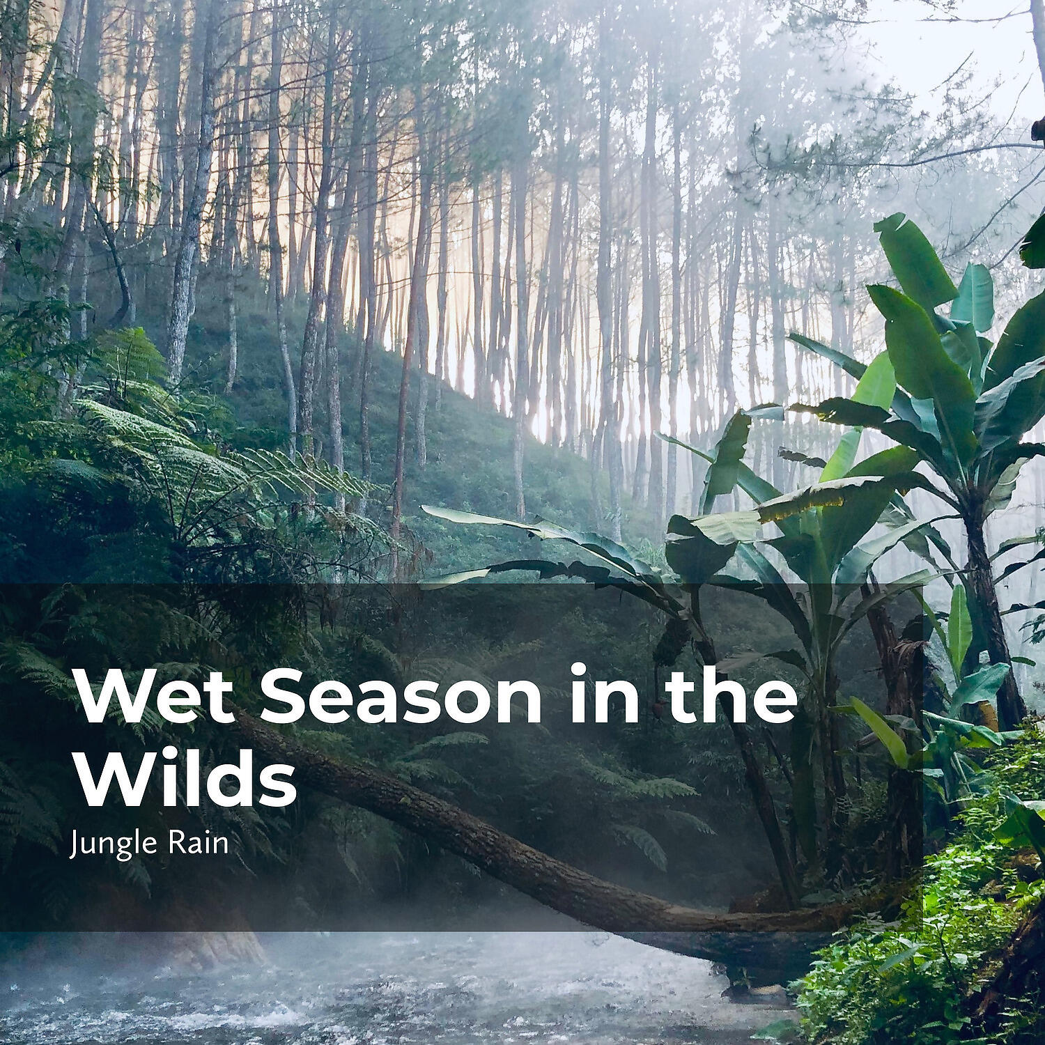 Релиз Wet Season in the Wilds