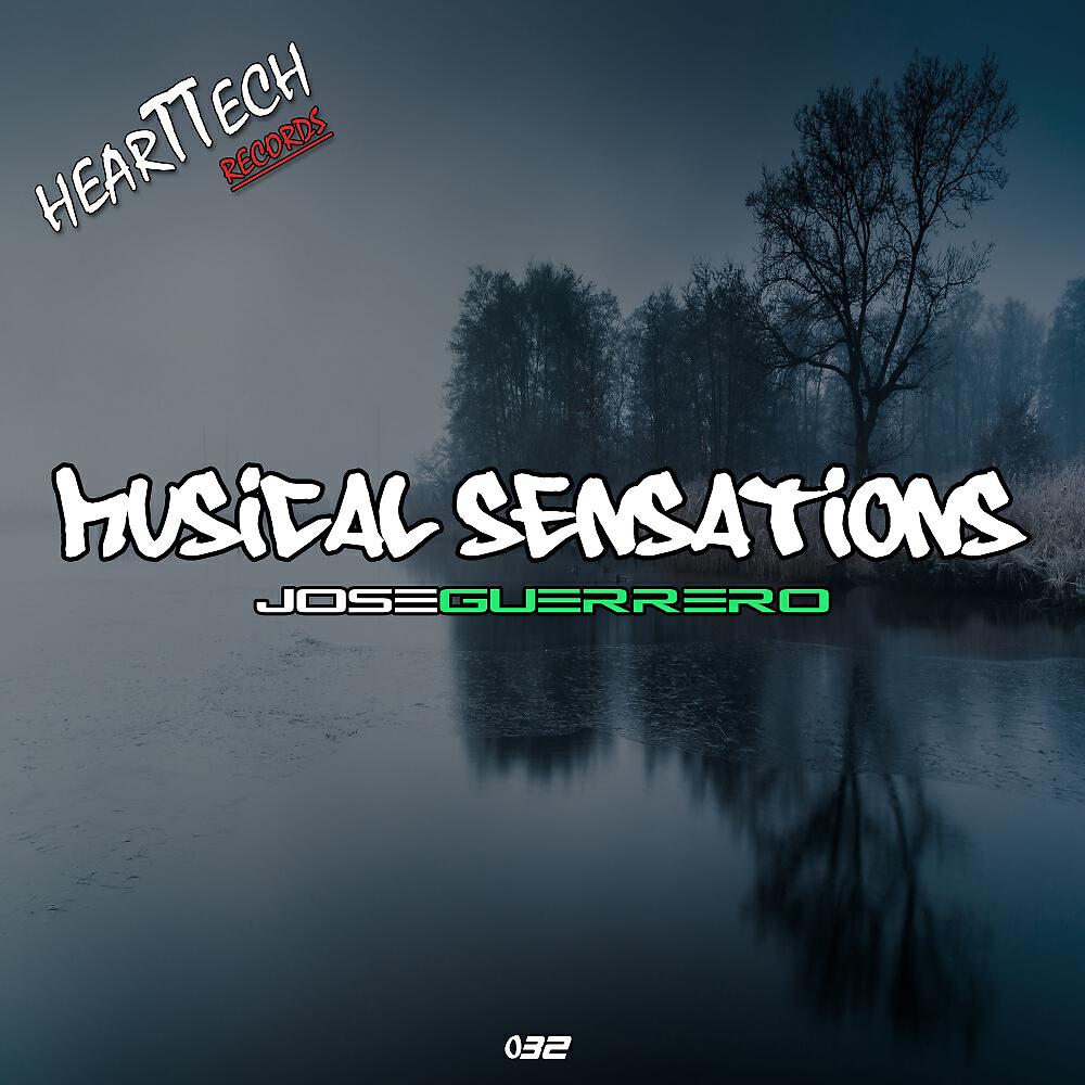 Релиз Musical Sensations