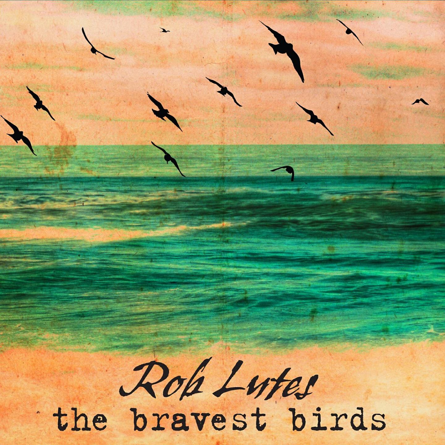 Релиз The Bravest Birds