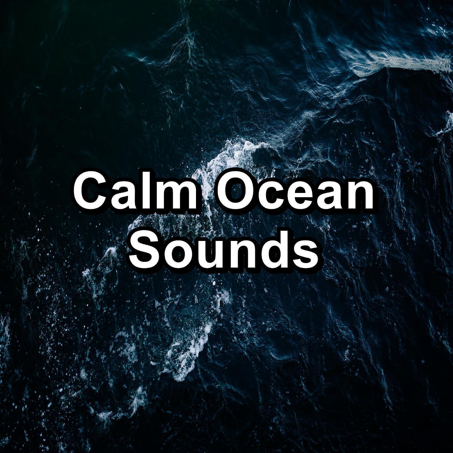 Релиз Calm Ocean Sounds