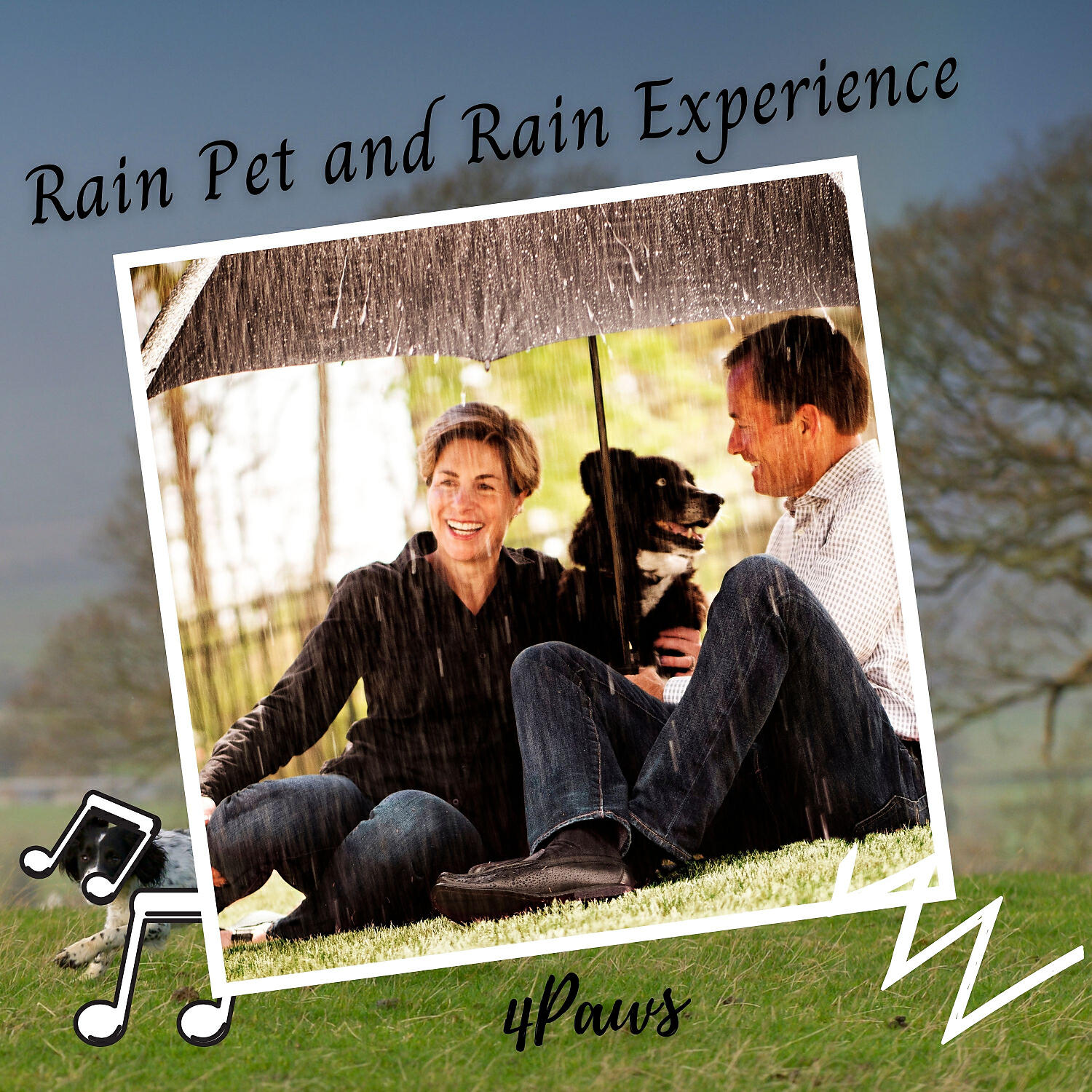 Релиз 4Paws: Rain Pet and Rain Experience