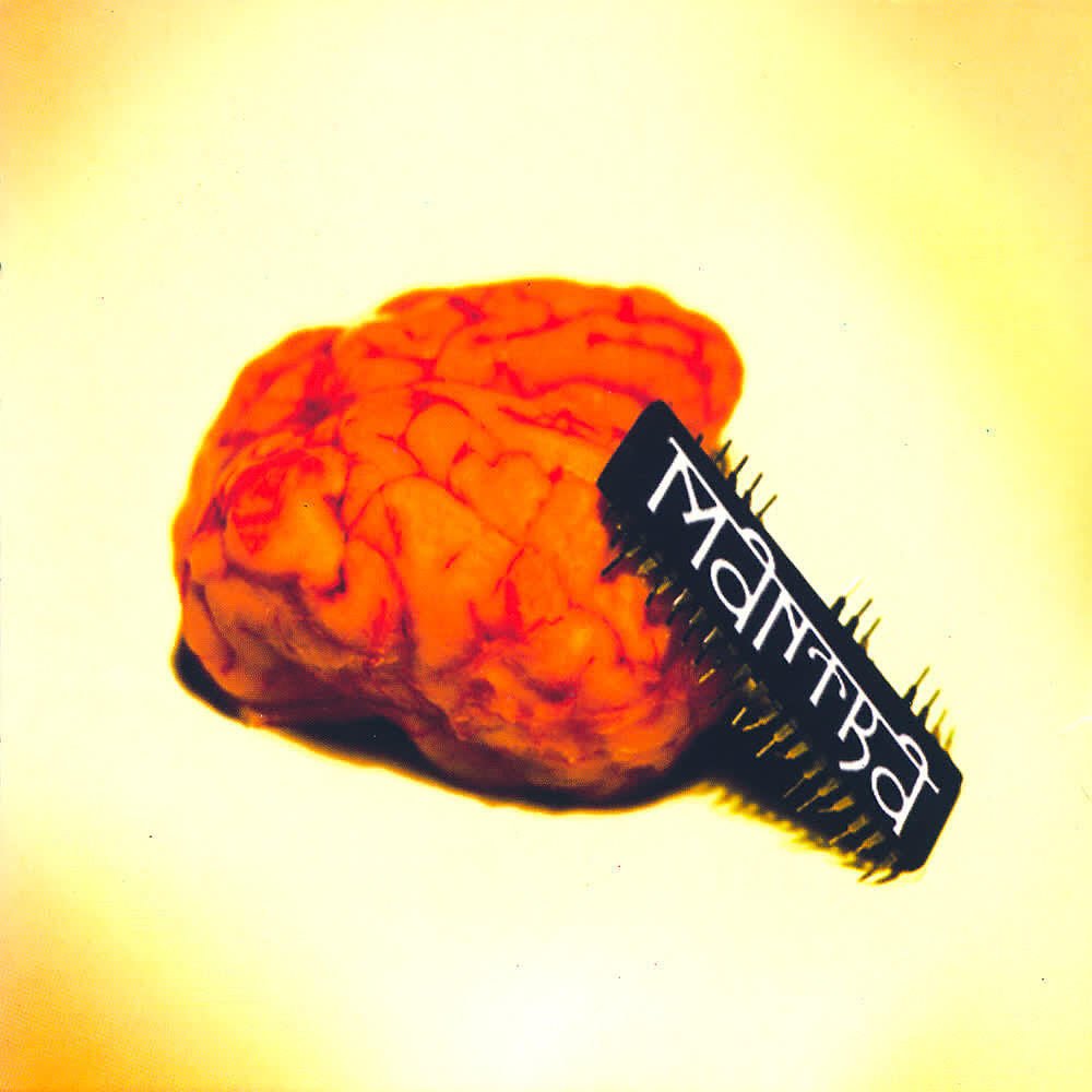 Релиз Reset