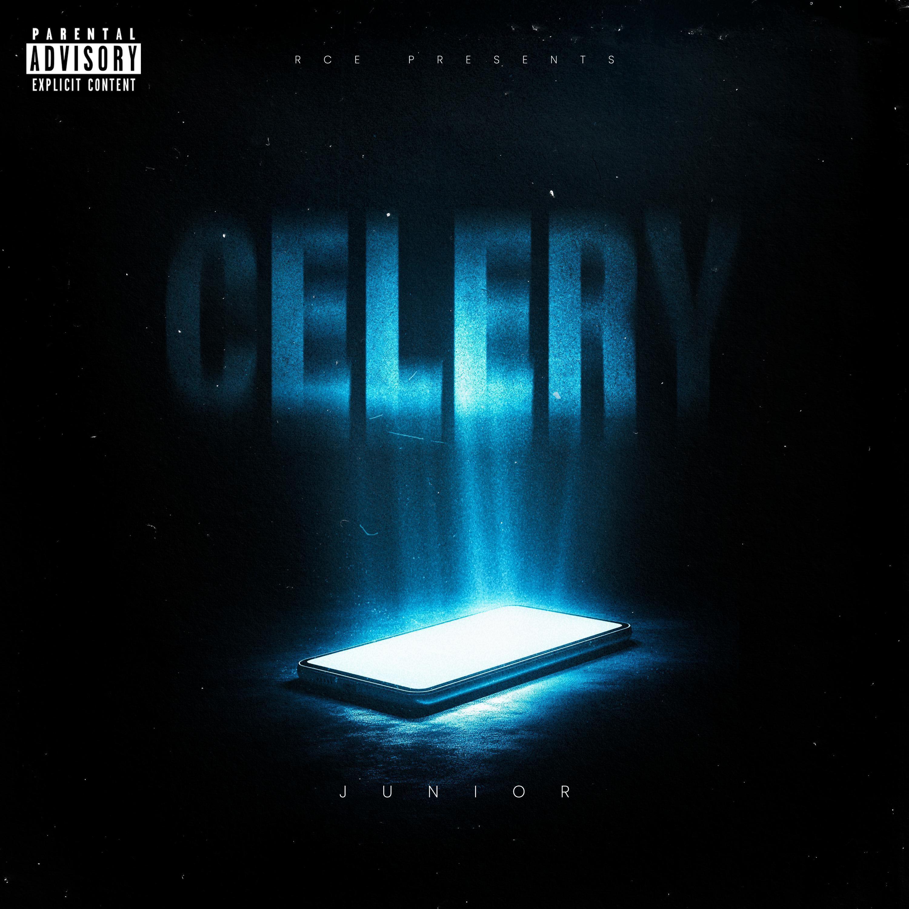 Релиз CELERY