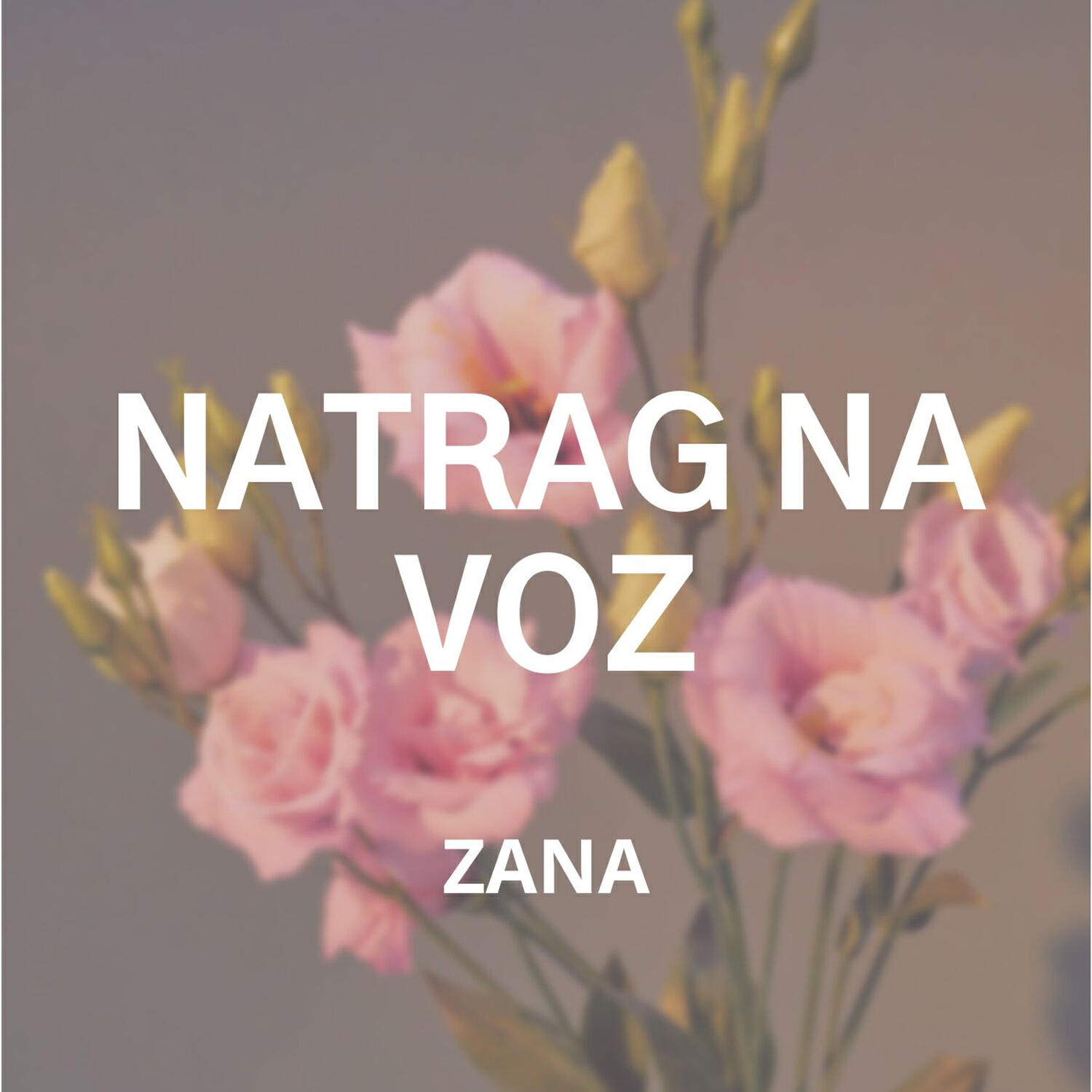 Релиз Natrag na voz