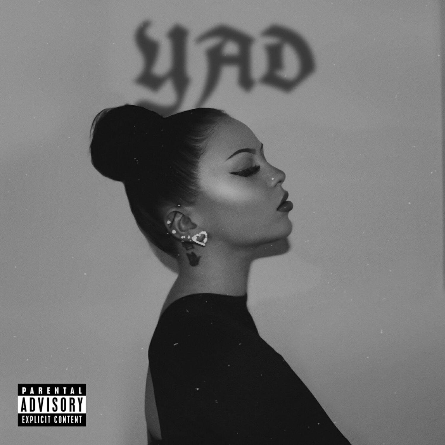Релиз YAD