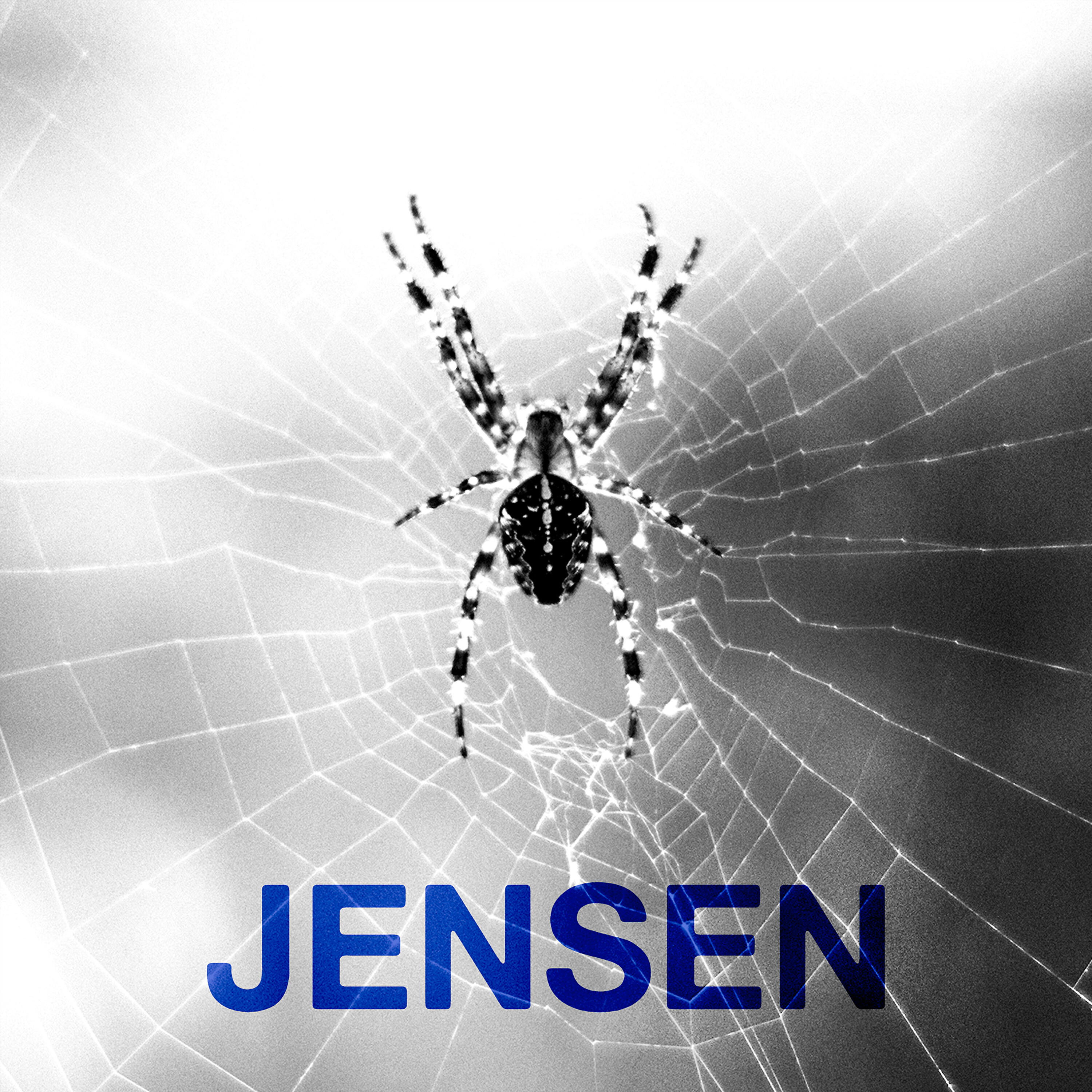 Скачать песню Kenneth Engebretsen - JENSEN бесплатно в MP3 для Android и iOS