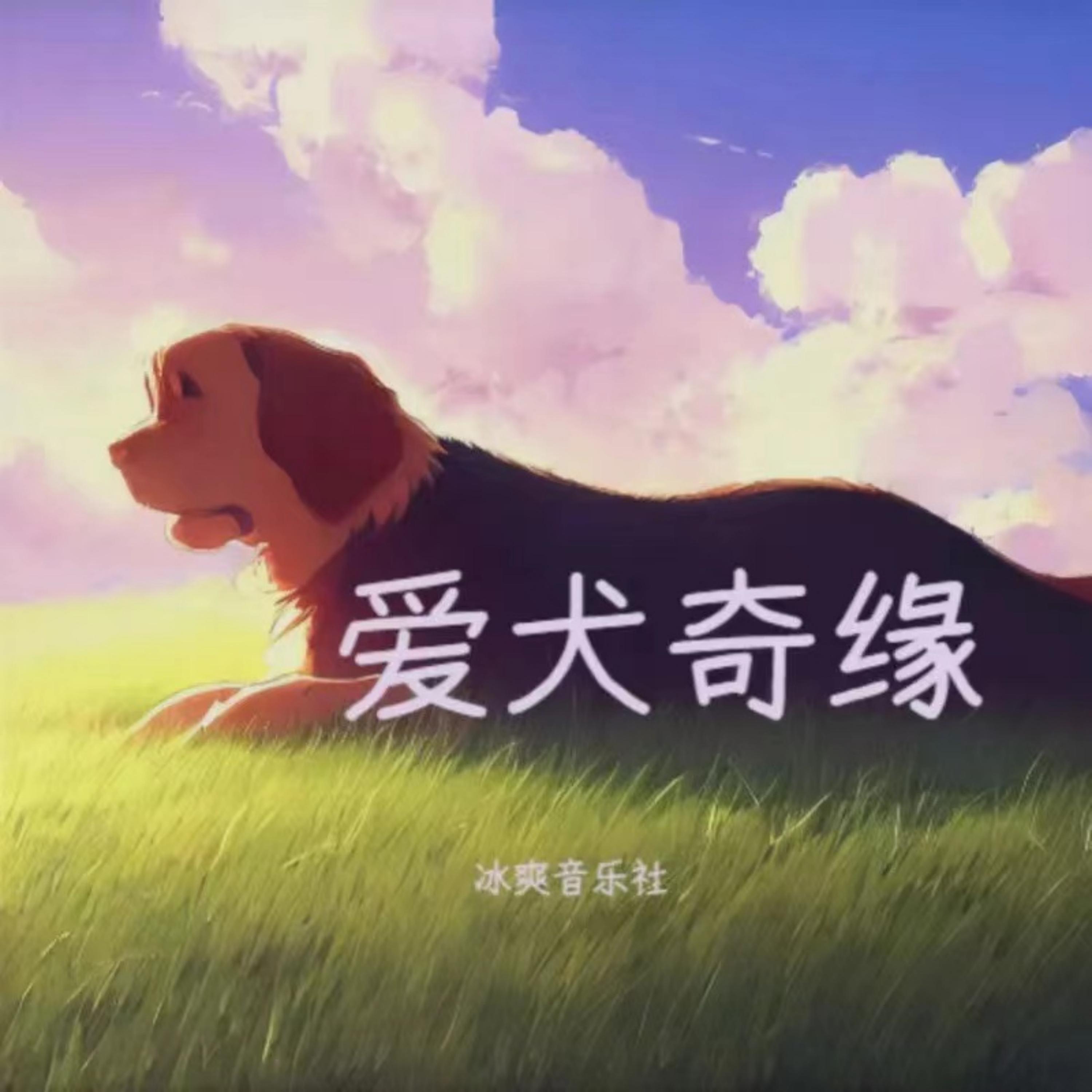 Релиз 爱犬奇缘