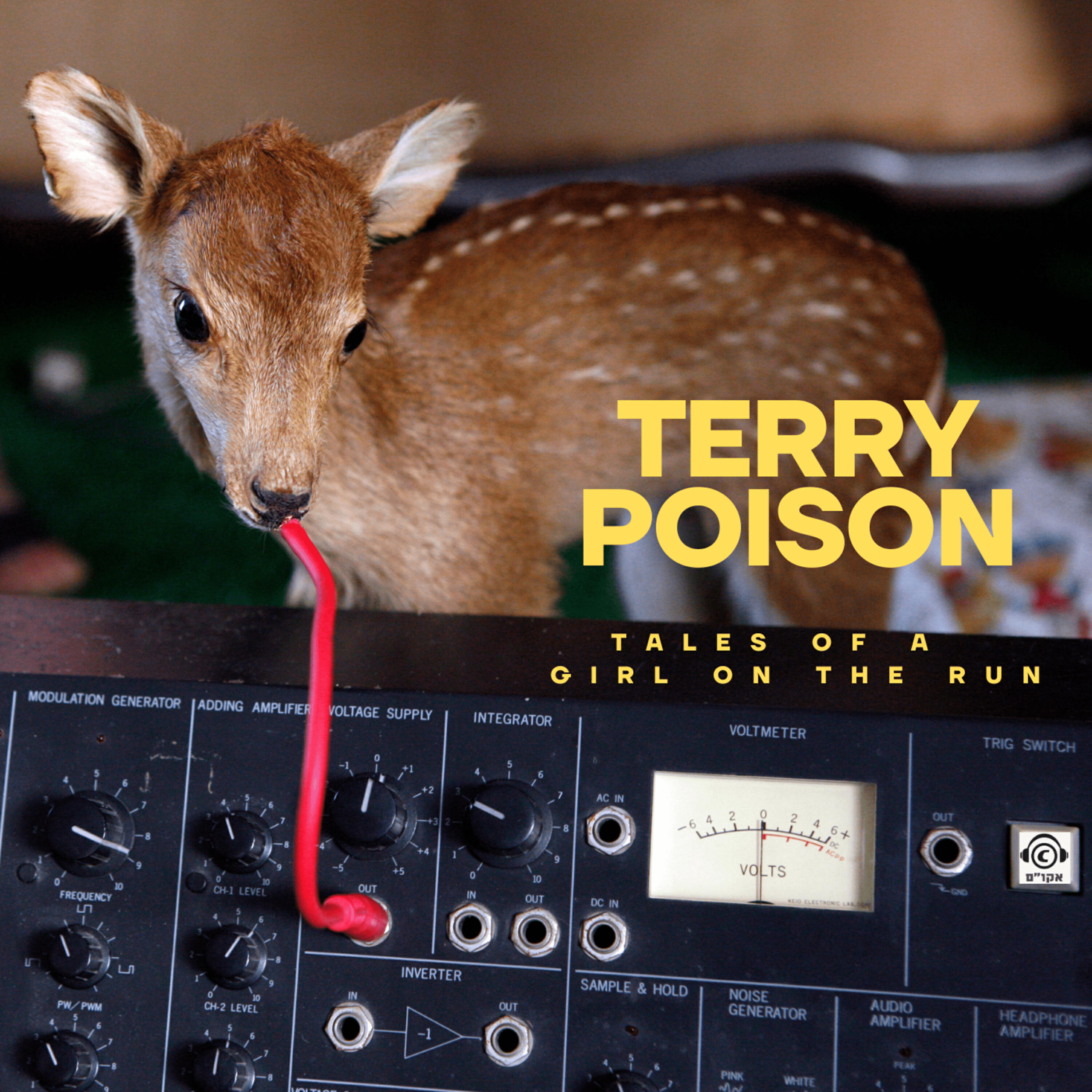 Релиз Tales of a Girl on the Run