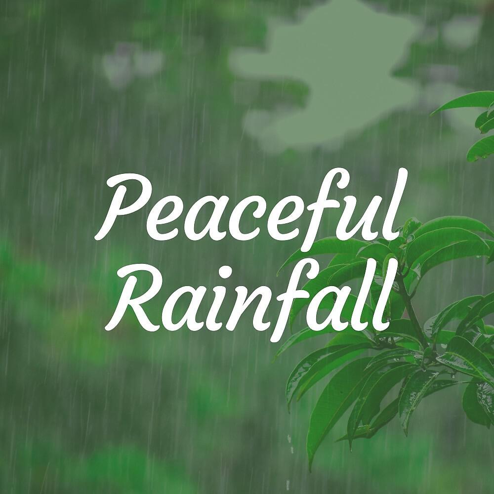 Релиз Peaceful Rainfall