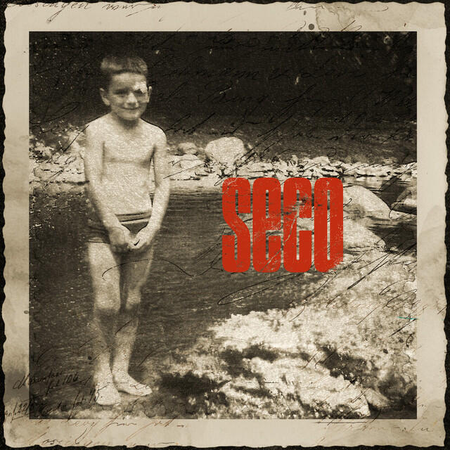 Релиз SECO