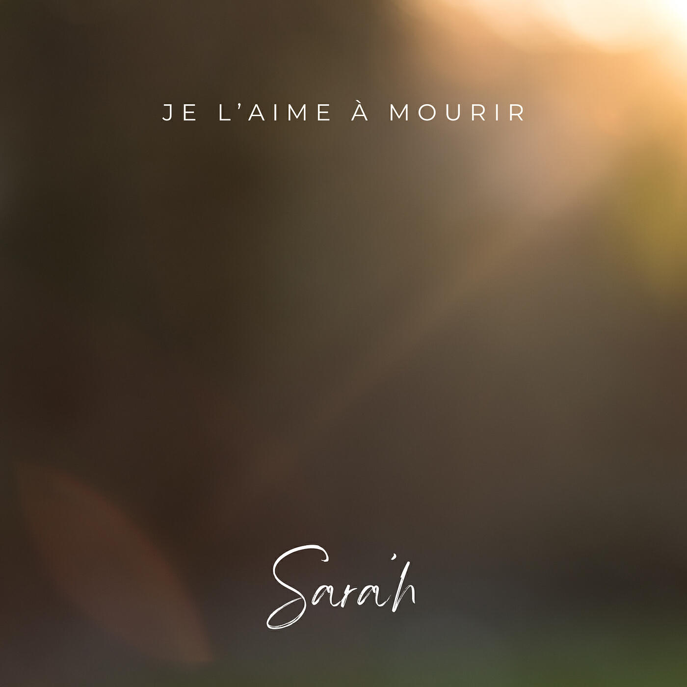 Постер альбома Je l'aime a mourir