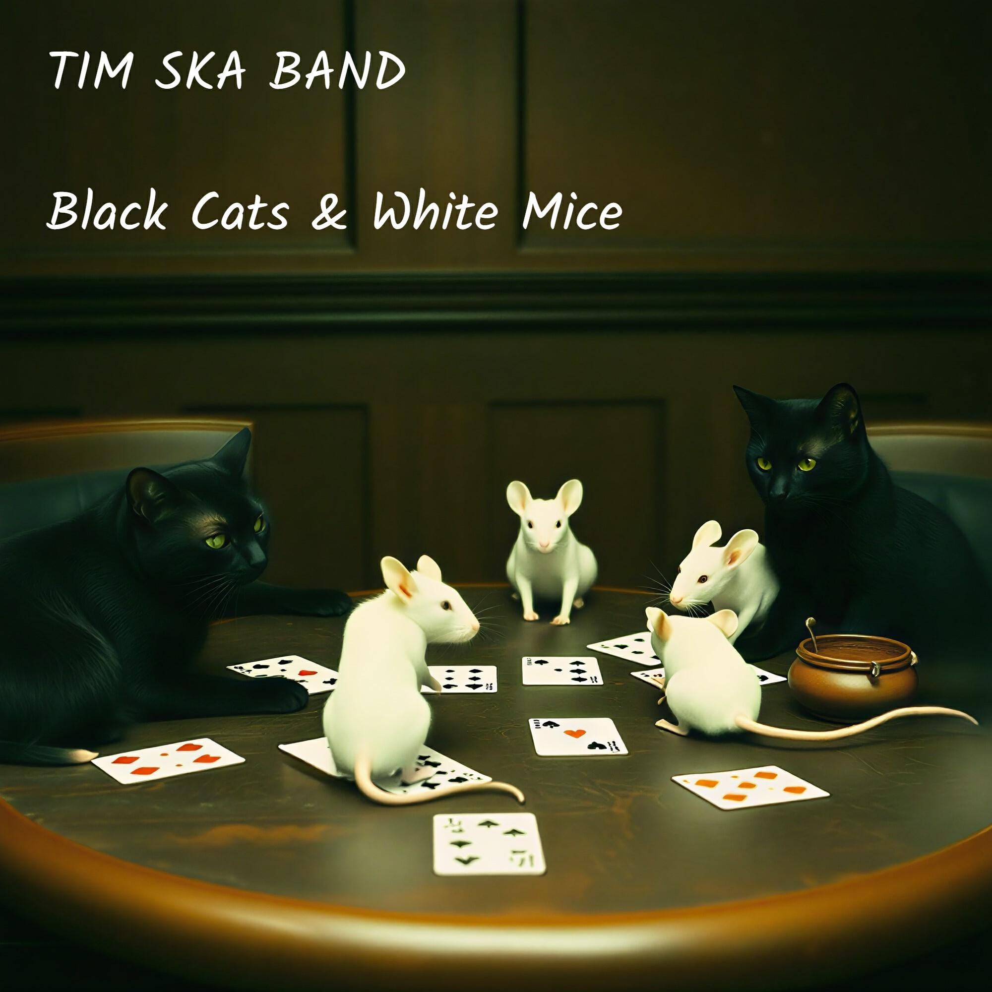 Tim Ska Band