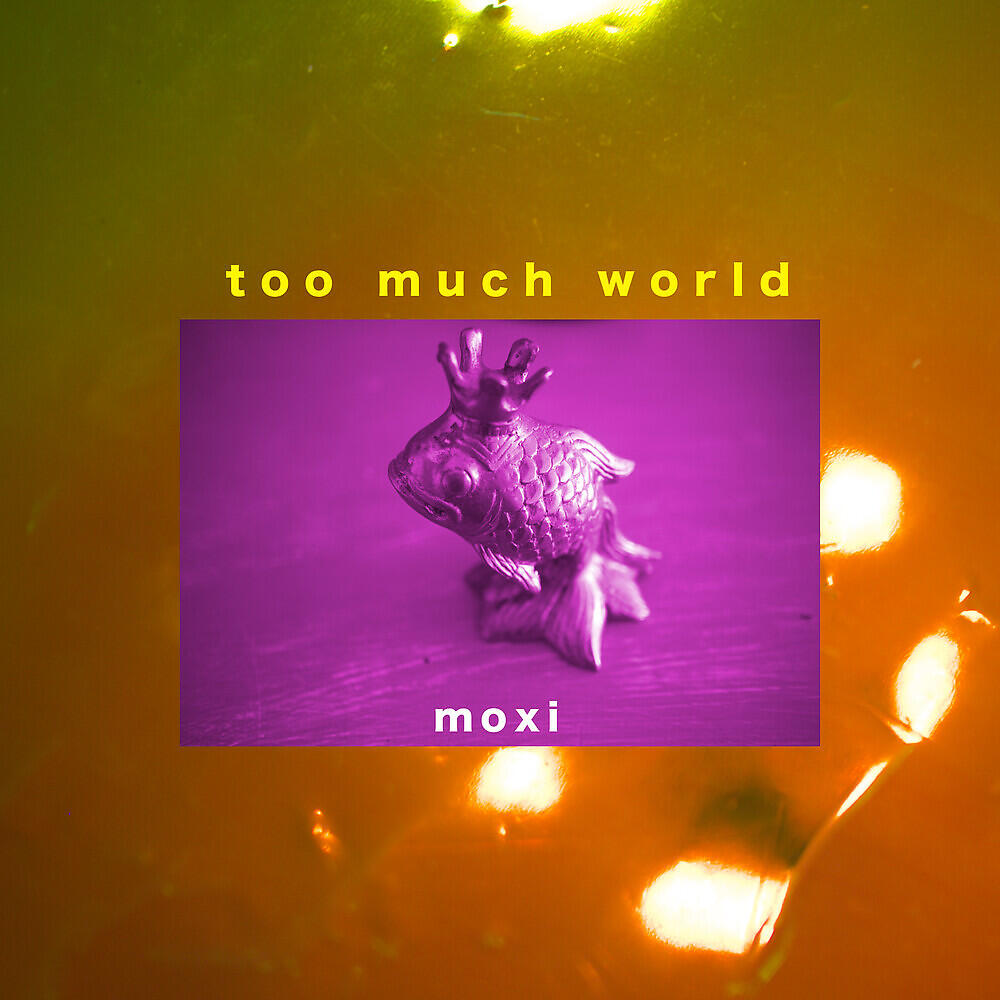 Релиз Too Much World