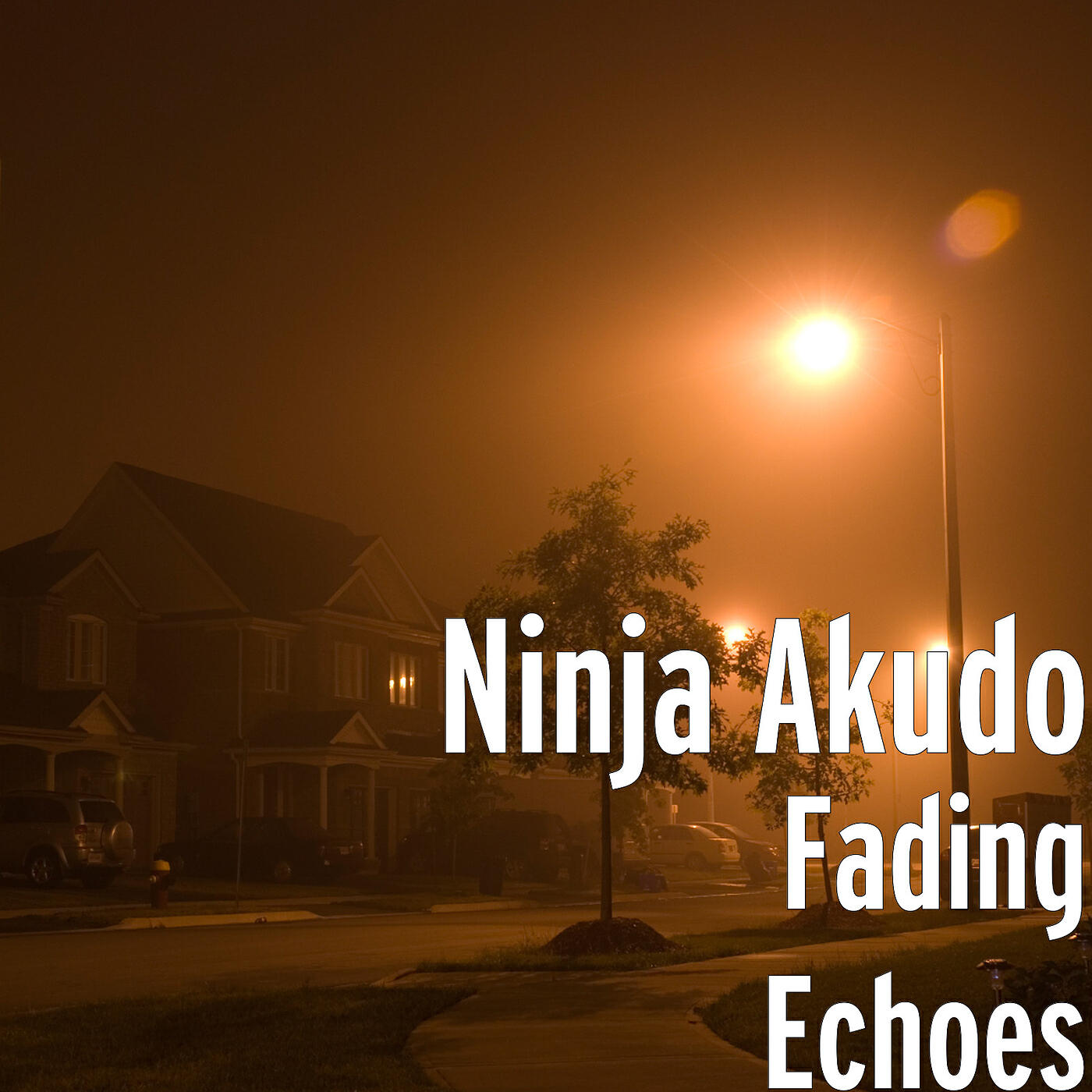 Релиз Fading Echoes