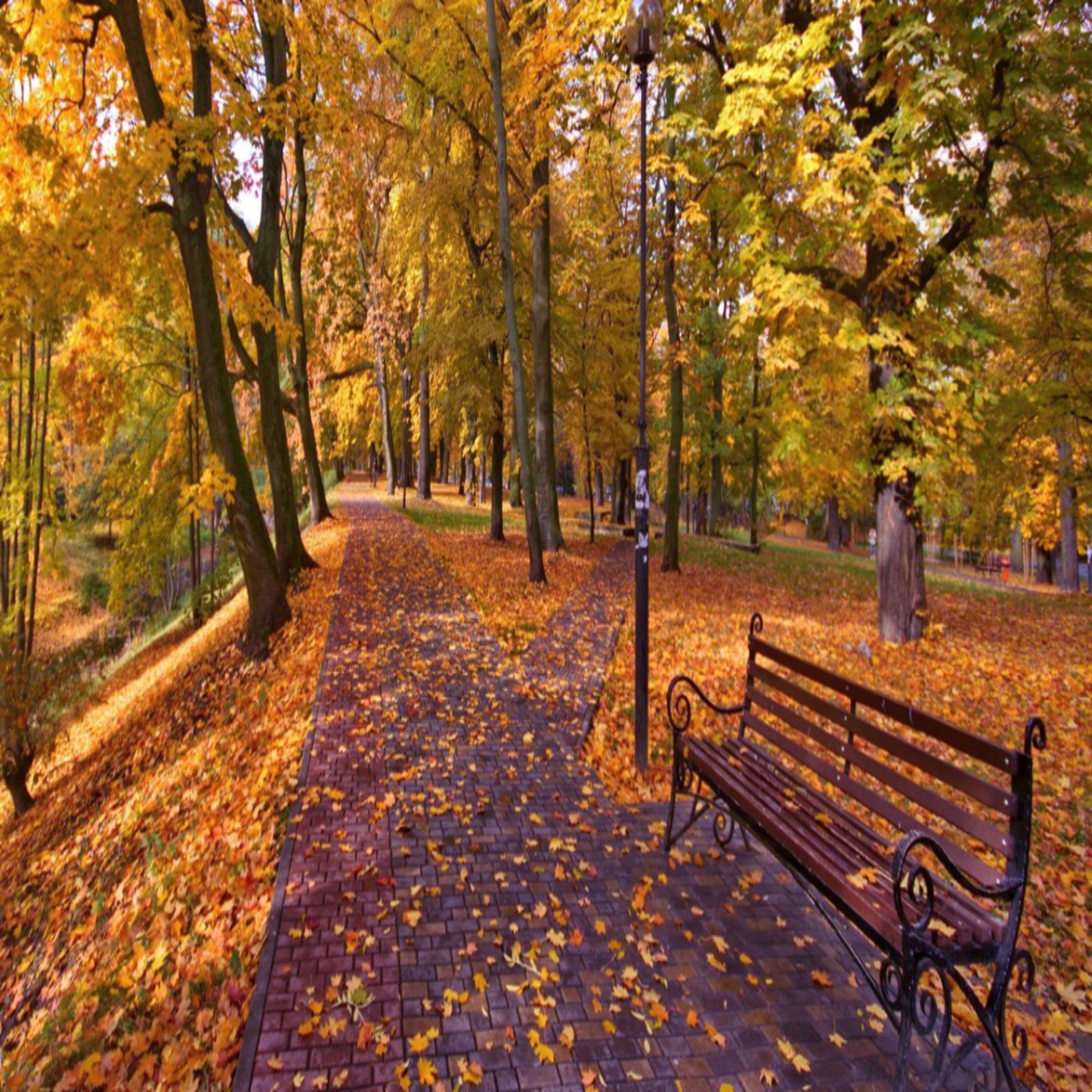 Релиз Осень