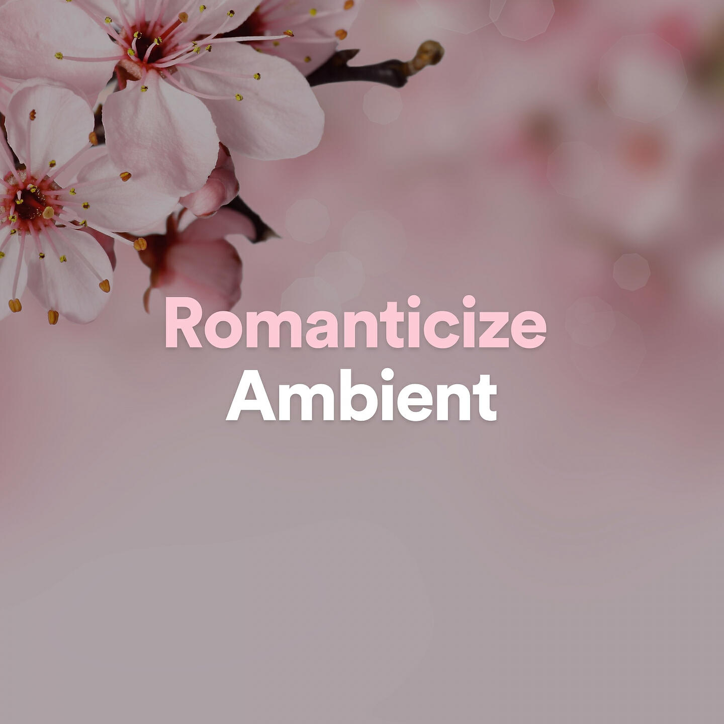 Релиз Romanticize Ambient
