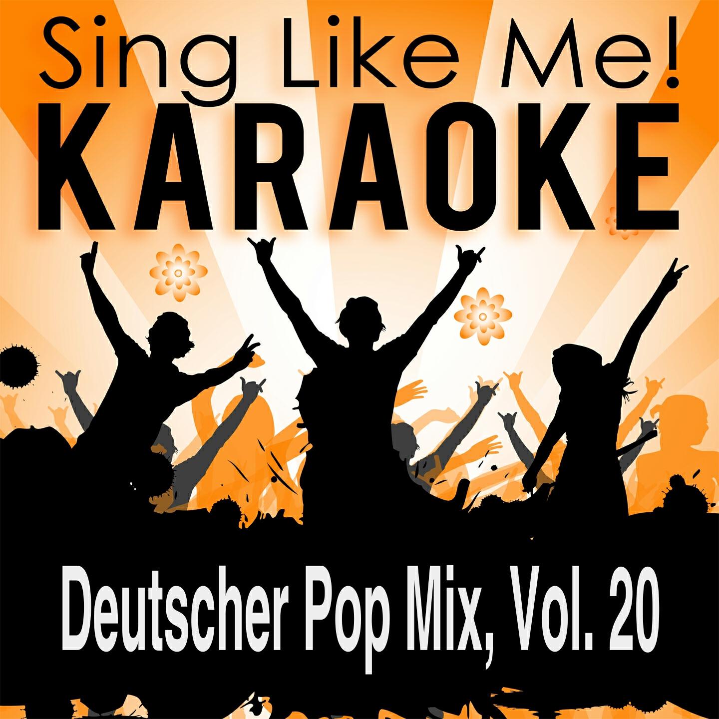 Постер альбома Deutscher Pop Mix, Vol. 20 (Karaoke Version)