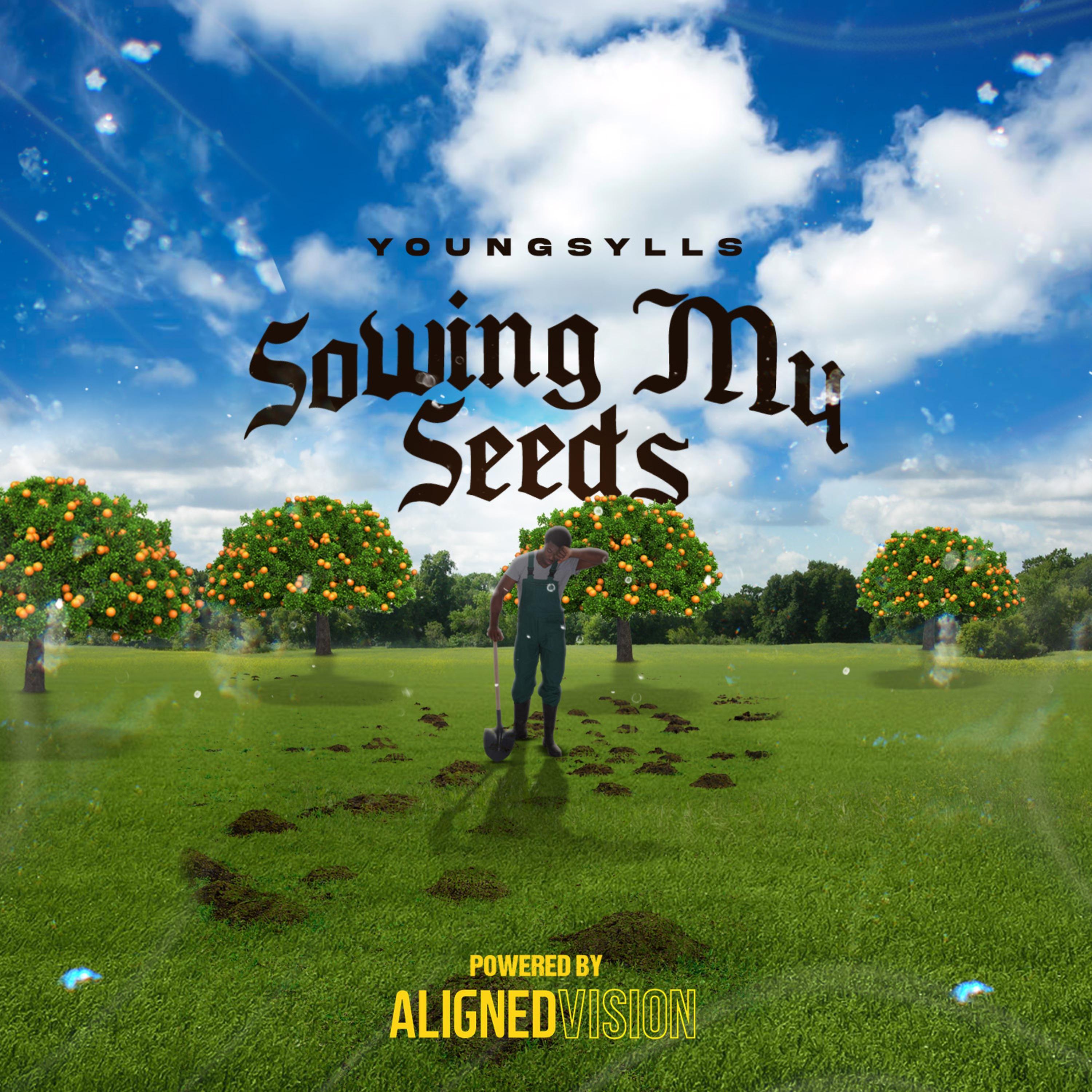 Релиз Sowing My Seeds