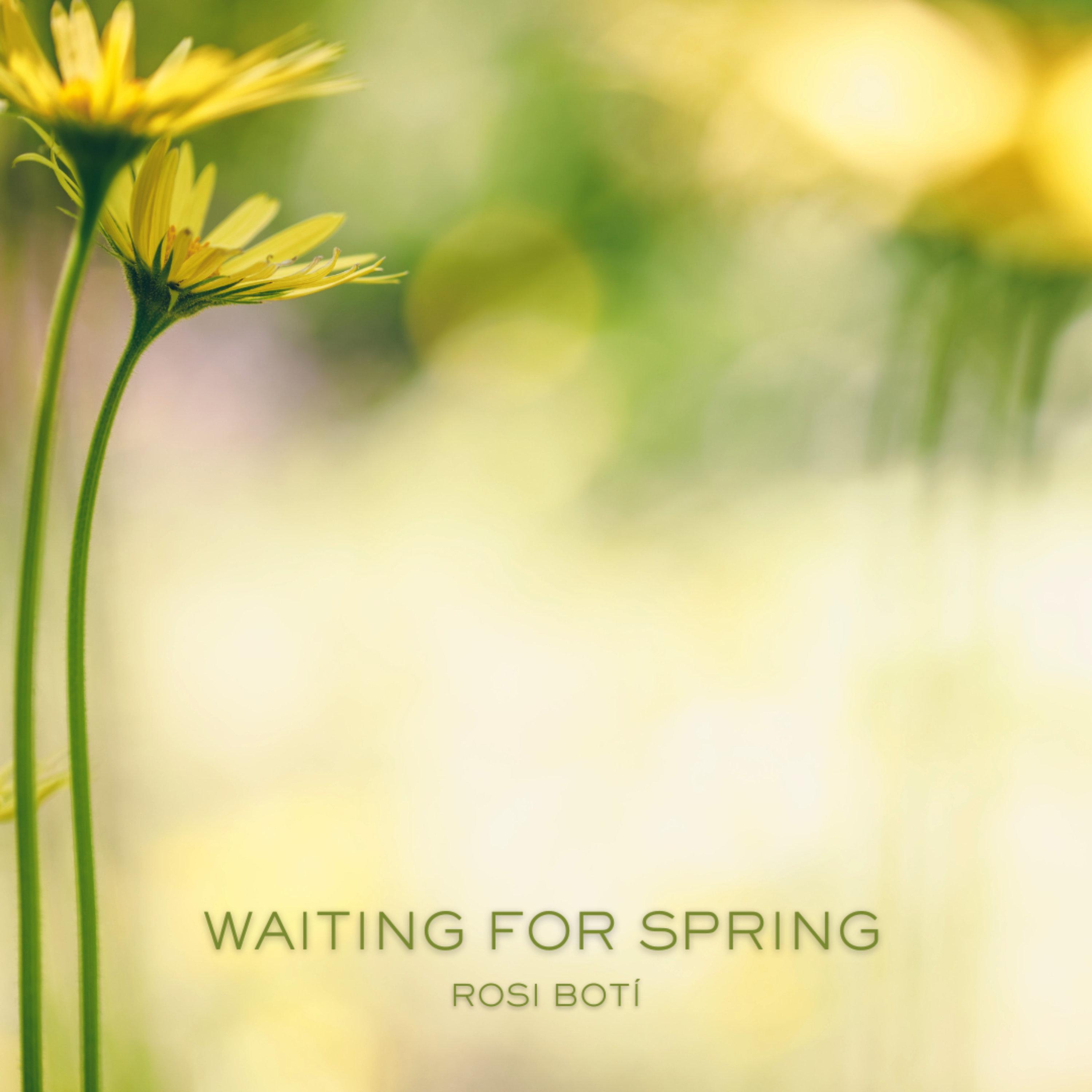 Релиз Waiting For Spring