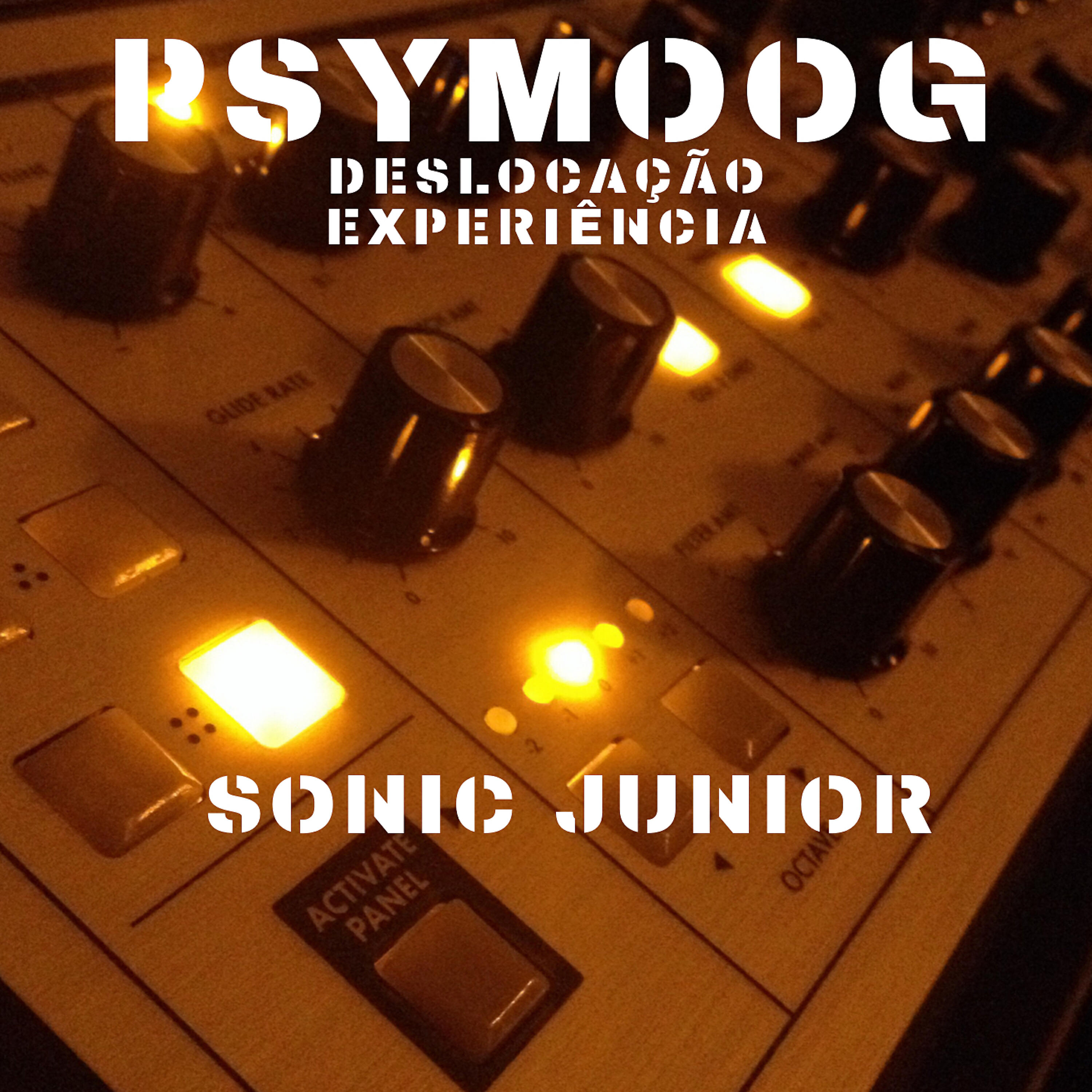 Релиз Psymoog - Deslocação Experiência